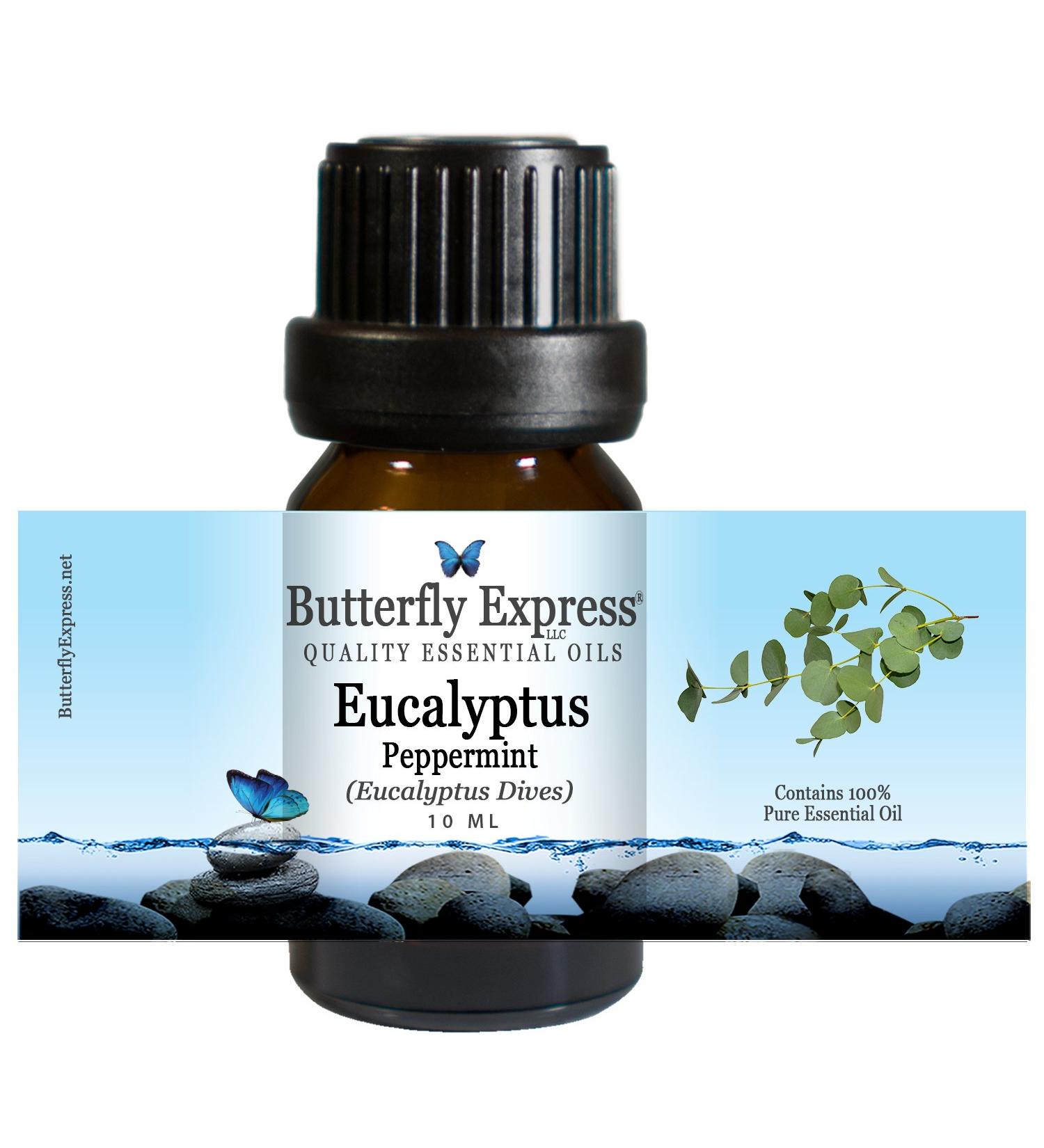 Eucalyptus Peppermint Essential Oil 10ml - 100% Pure - by Butterfly Express