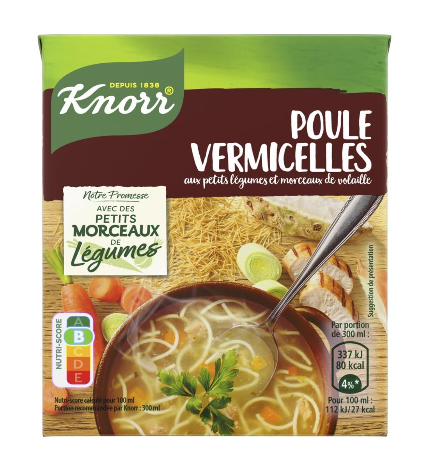 Knorr Liquid Soup Flavors of Old Chicken and Vermicelli Quick Soup to Prepare Made in France 300 ml (Pack of 1) - Buy Online on GoSupps.com