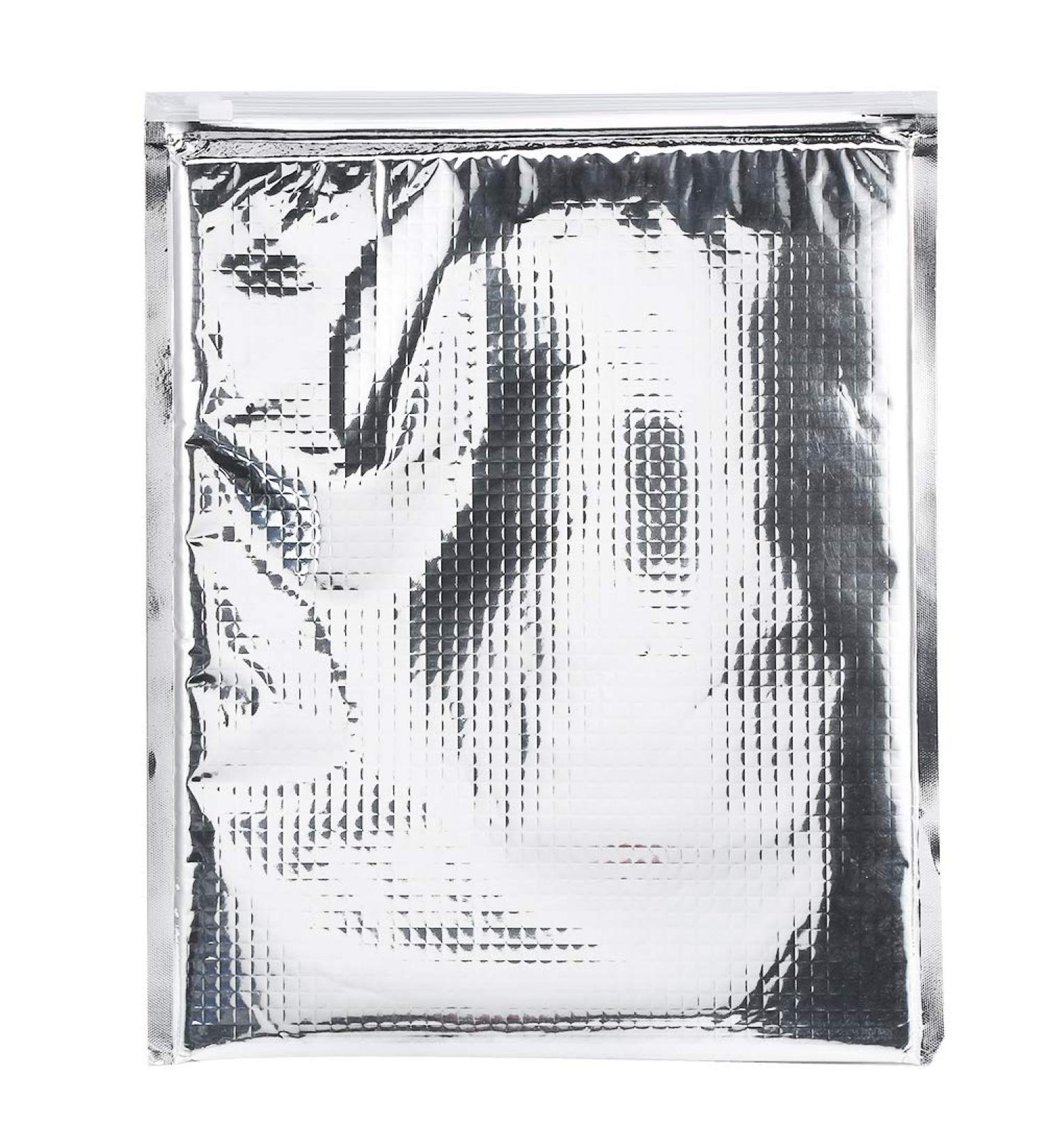 5Pcs/Set Aluminum Foil Insulated Food Storage Bag Waterproof Food Storage Insulated Sandwich Bags for Travel School Picnic 35*40cm - Buy Online on GoSupps.com
