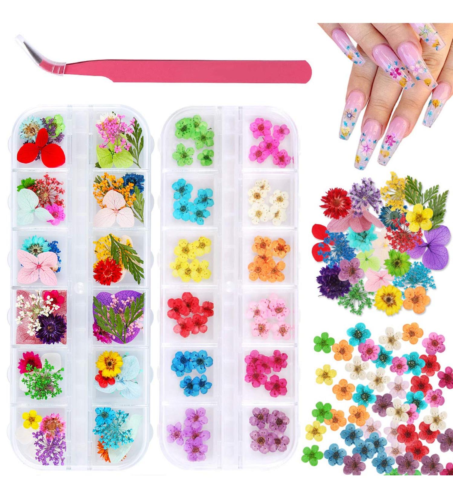 Dried Flowers Nail Art Kit - KISSBUTY 24 Colors Mini Real Natural Flowers for 3D Nail Decoration - Daffodil, Hydrangea, Daisy - Nail Art Supplies - Buy Online on GoSupps.com