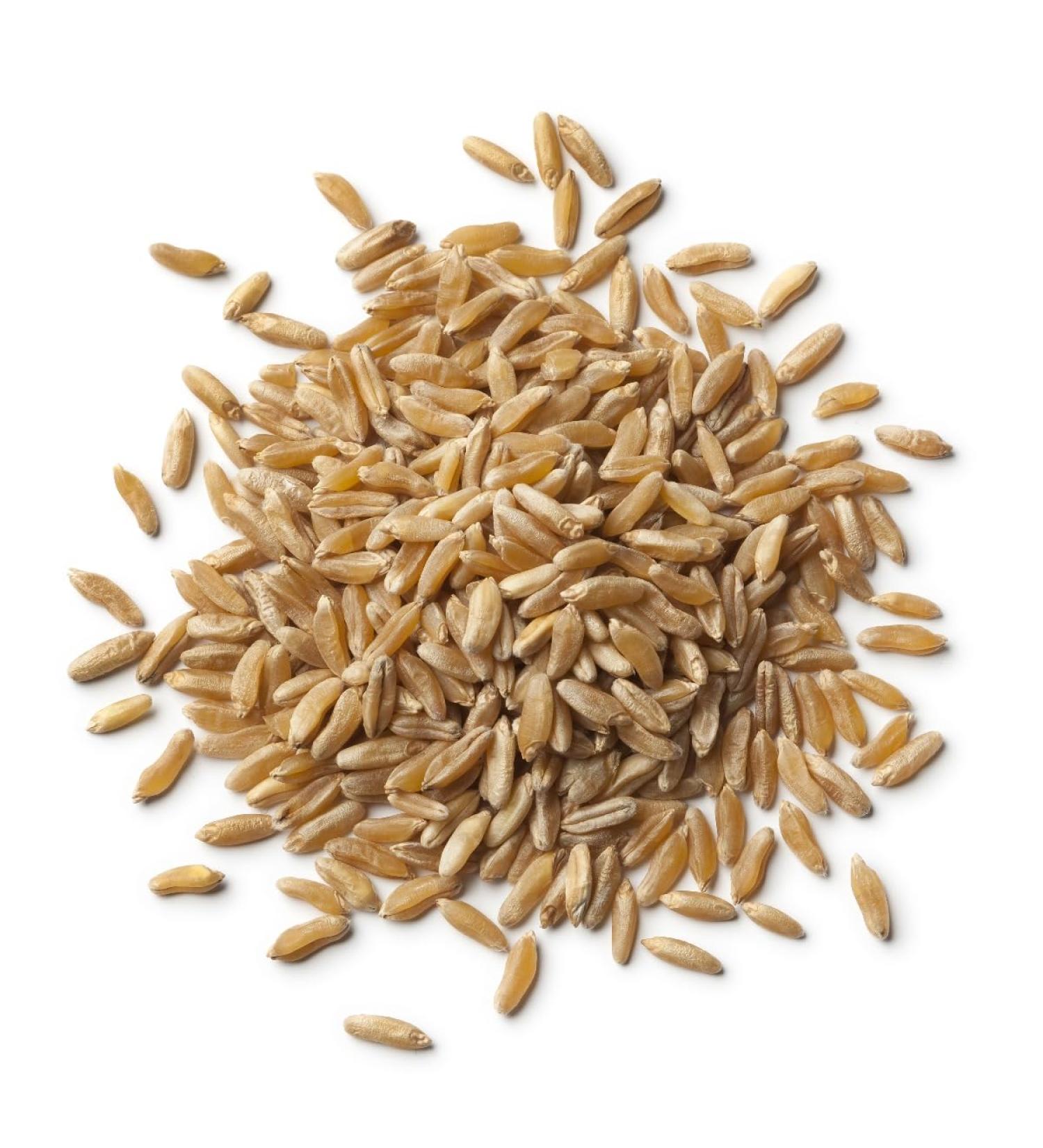 Organic Kamut Grain 500g (BWFO) - Buy Online on GoSupps.com