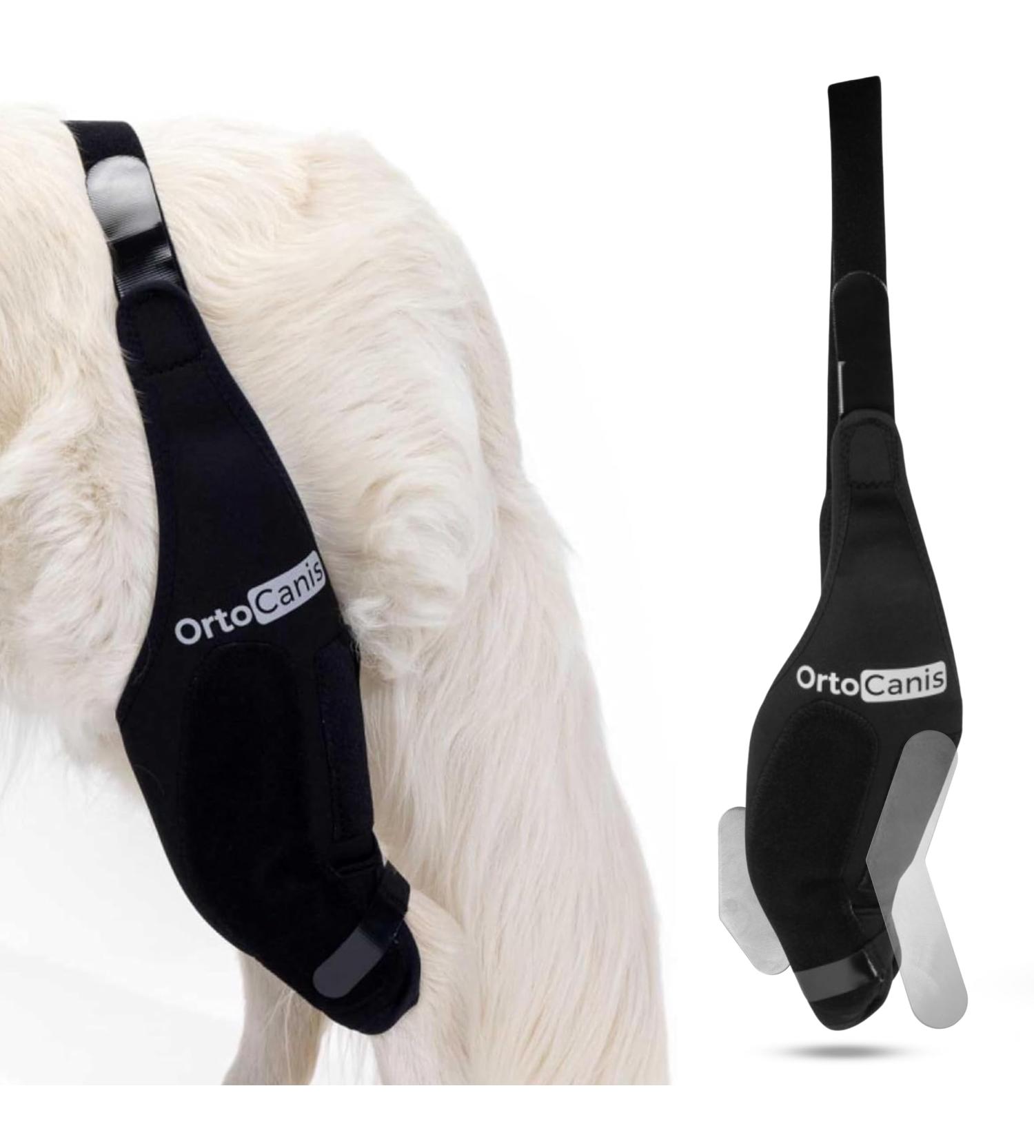 Ortocanis - Knee Brace for Dogs with Ligament Rupture and Patella Luxation Size XXS Left Leg Left leg XXS - Buy Online on GoSupps.com