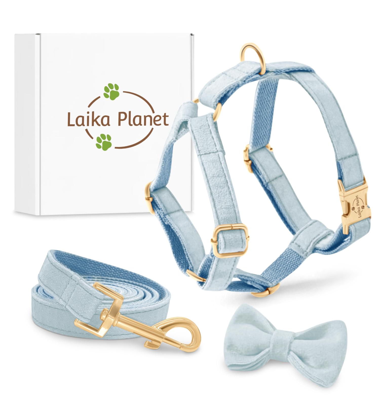 Laika Planet Premium Dog Harness for Small Dogs - Velvet Loop 1.50m Leash Maximum Safety & Comfort (XS Blue) - Buy Online on GoSupps.com