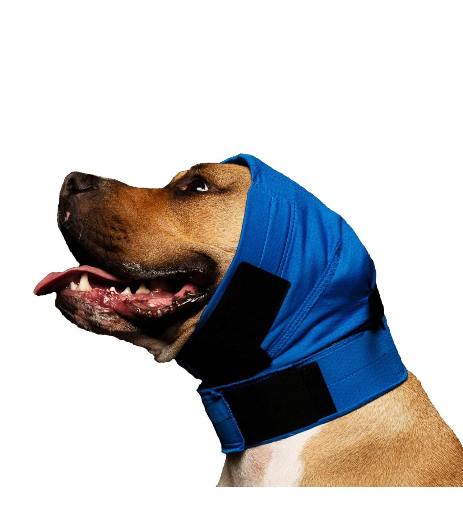No Flap Ear Wrap Original Blue (S/M) - Comfortable and Secure Protection - Buy Online on GoSupps.com