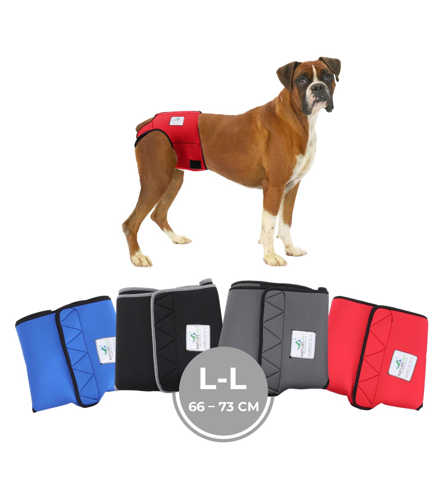 Financial Trousers for Bitches 2.0 - High-Quality Neoprene Dog Diapers for Males | Optimal Airflow | Size L-XL in Red - Buy Online on GoSupps.com