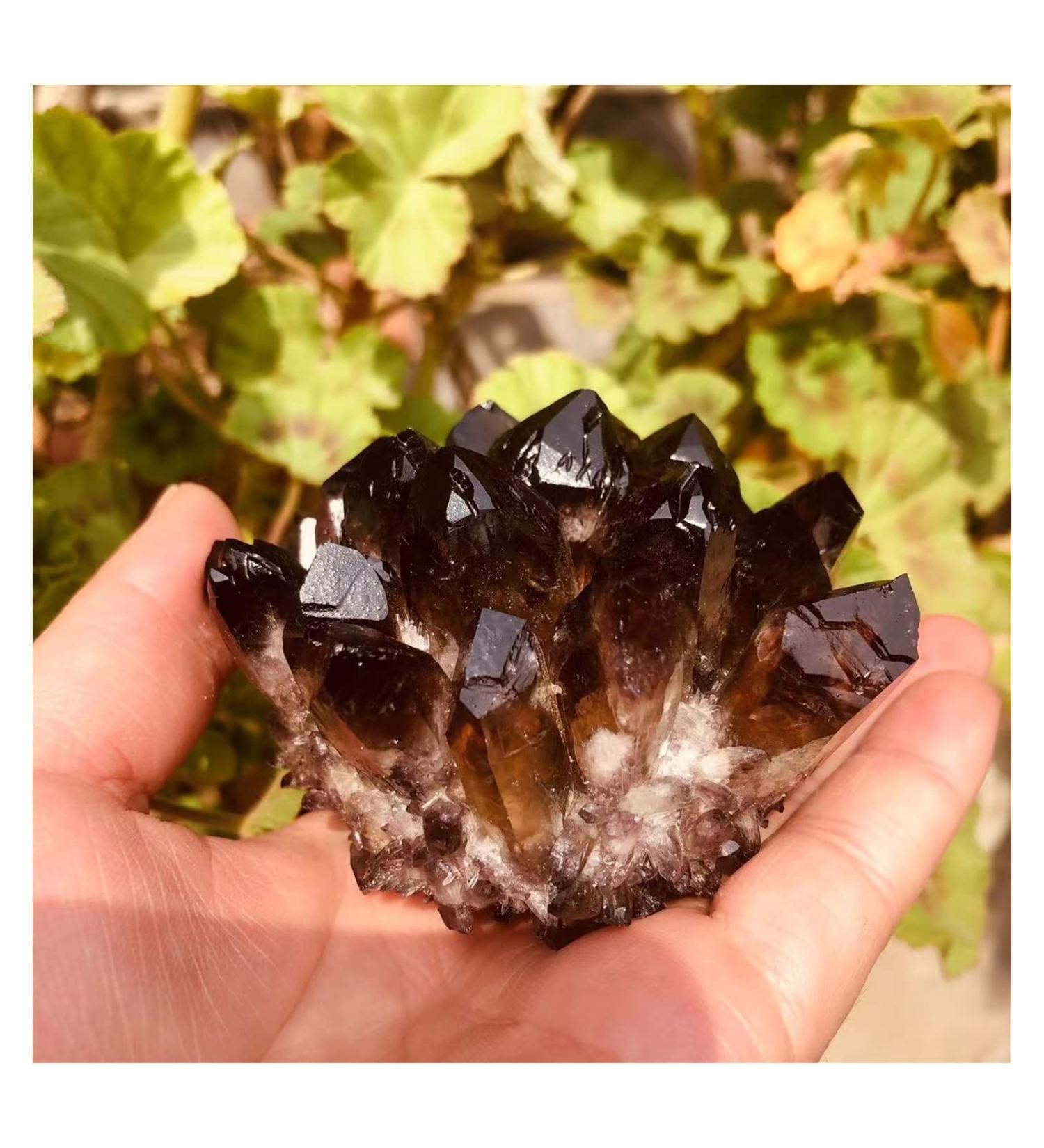 Bulk Rough Natural Black Smoky Quartz Crystal Cluster for Reiki Rock Crafts 250G-650G Crystal Cluster (Color : 450G-550G) - Buy Online on GoSupps.com
