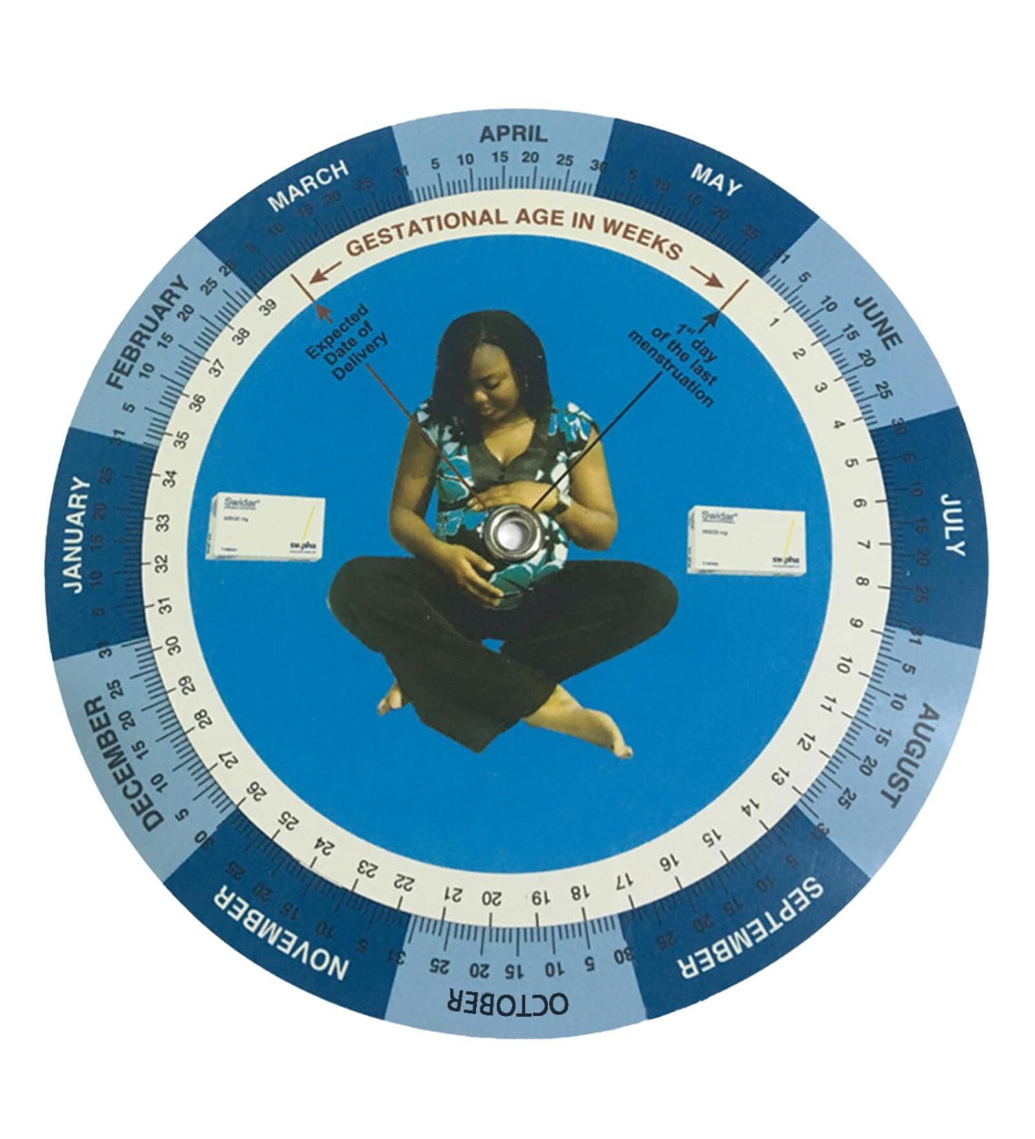 Homeriy 8pcs Pregnancy Wheel | Due Date Calculator for Pregnant Women & Healthcare Providers - International Shipping Available - Buy Online on GoSupps.com