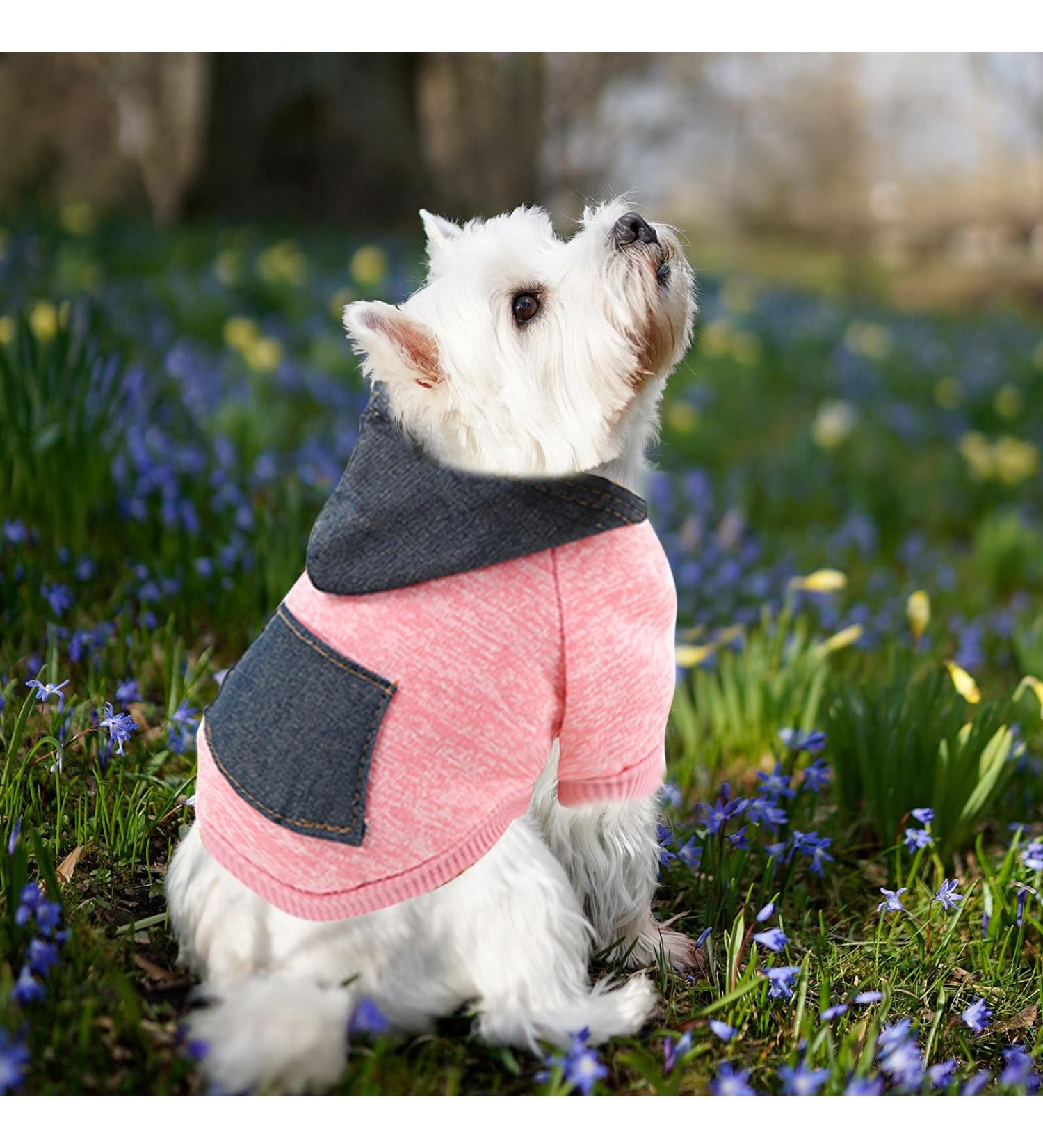 Waterproof Winter Dog Coat | Warm Jacket & Sweater for Puppies | Fleece Hoodie for Medium Dogs | XL 1107Debkb-Red - Buy Online on GoSupps.com