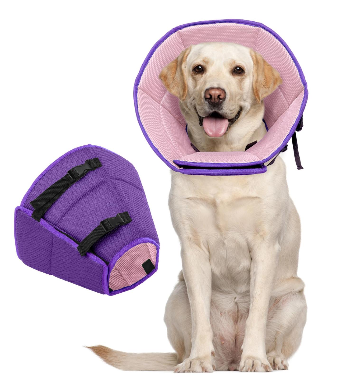 Kuoser Adjustable Dog Collar XL - Comfortable Leakage Protection & Wound Prevention 42-55cm Neck Purple - Buy Online on GoSupps.com