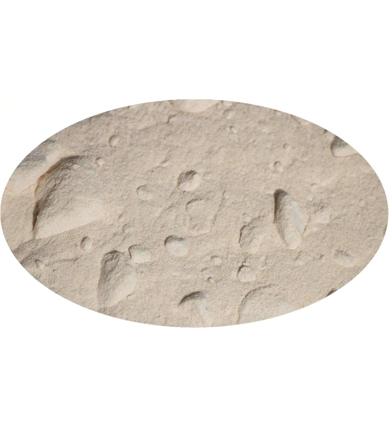 Eder Gew rze - Oignon en poudre - 1kg - Buy Online on GoSupps.com