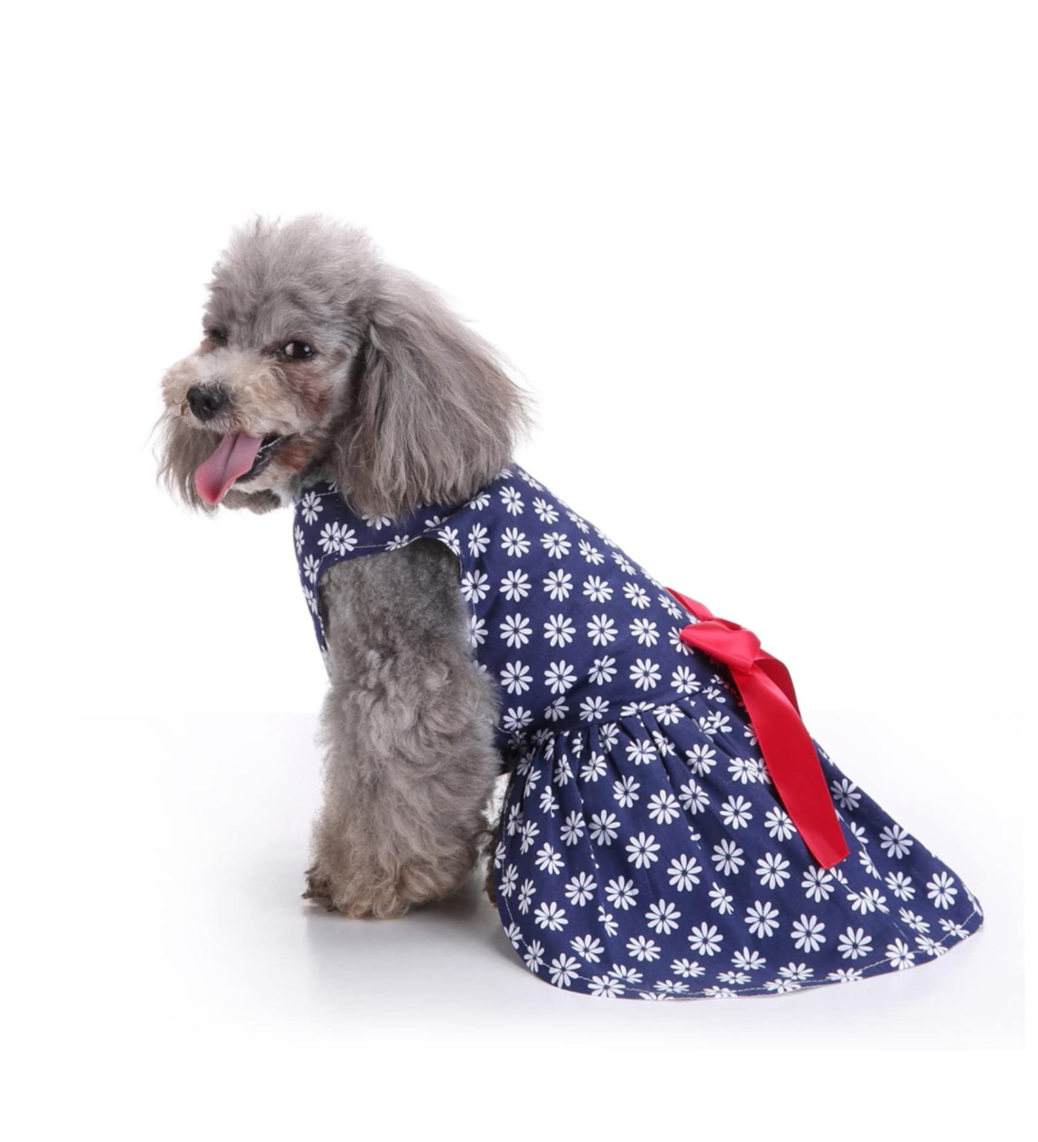 Petcute Elegant Dog Dress - Summer Tutu & Lace Skirt for Small Dogs - Cute Bowknot & Flower Design | XS Dark Blue & White - Buy Online on GoSupps.com