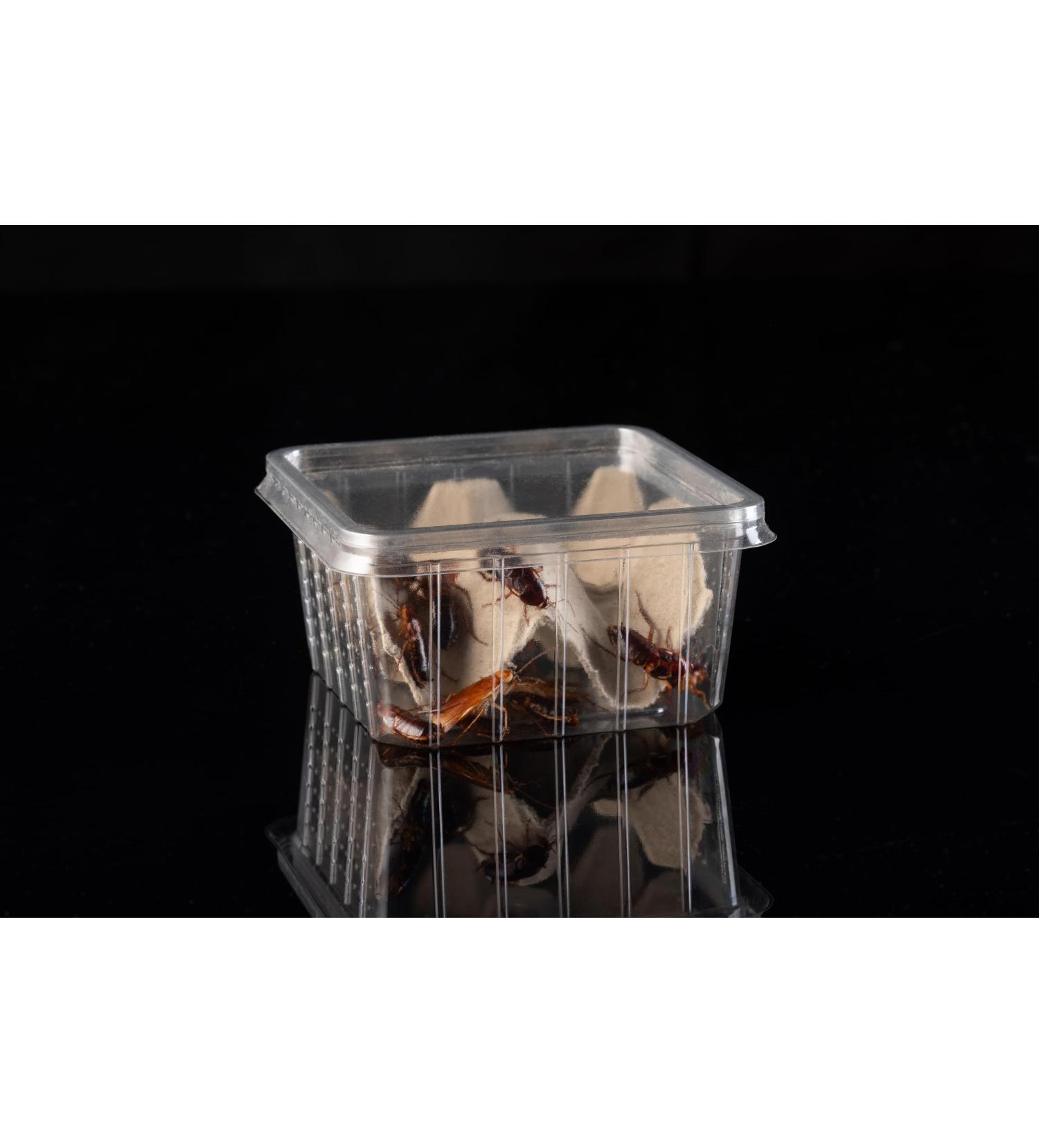 30 medium chocolate tubes