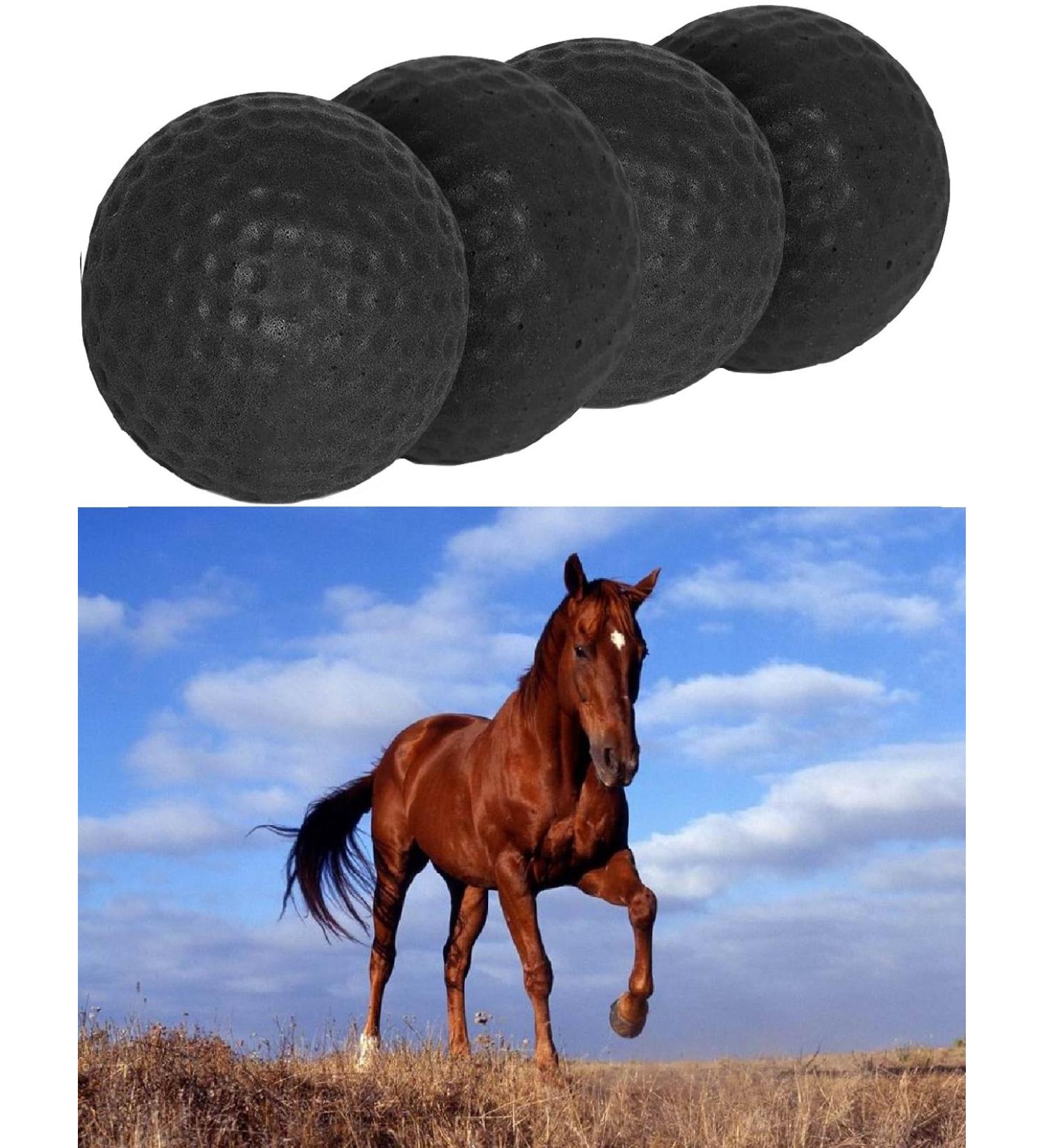 Classic Equine Ear Plugs for Horses - Black Foam Ball Tack & Supplies | International Shipping Available - Buy Online on GoSupps.com
