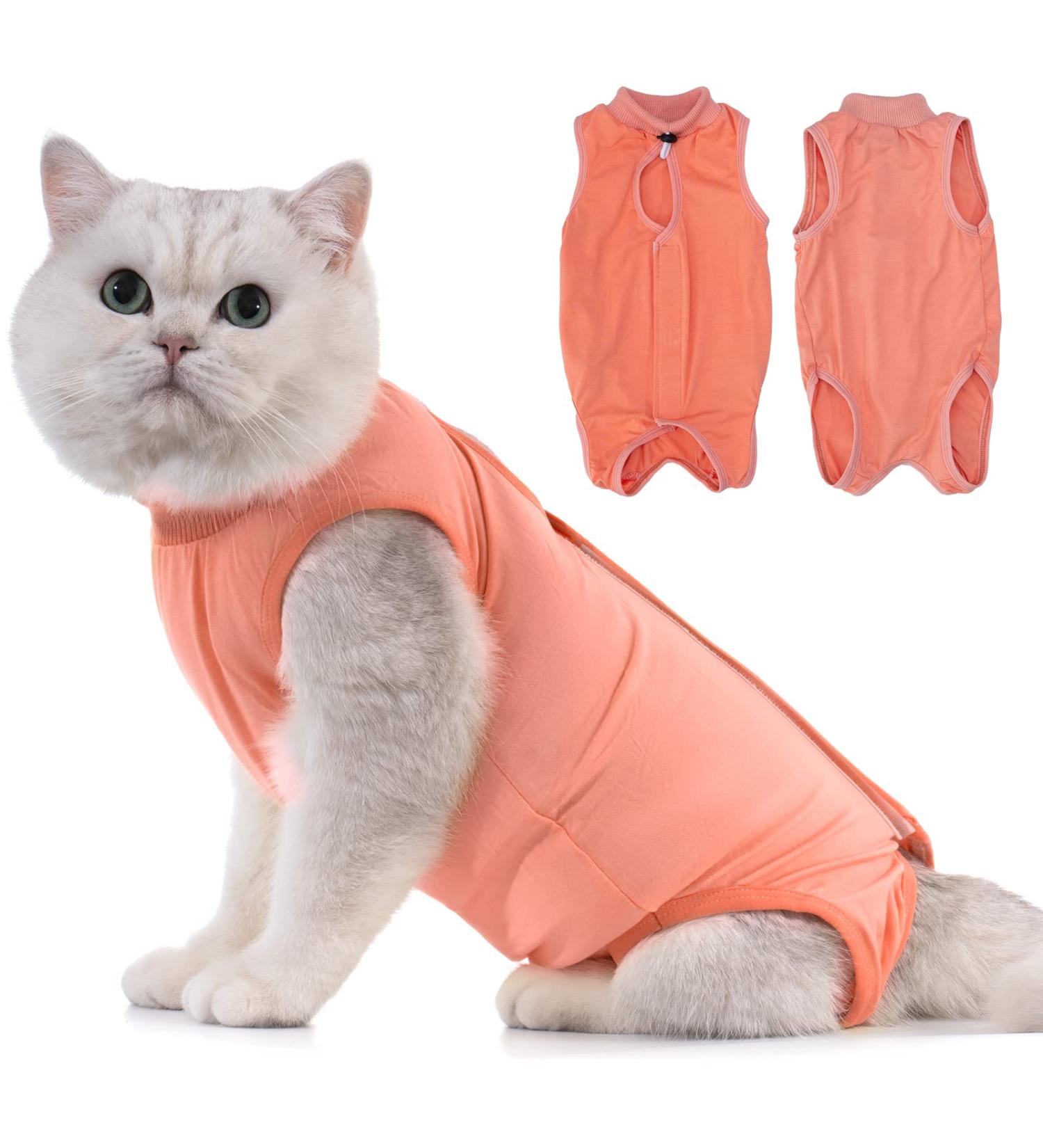 Avont Katzenbody Recovery Suit for Cats | Post-Op Clothing & Leak Protection - Ideal for Spay Castration Abdominal Wounds - L Coral - Buy Online on GoSupps.com