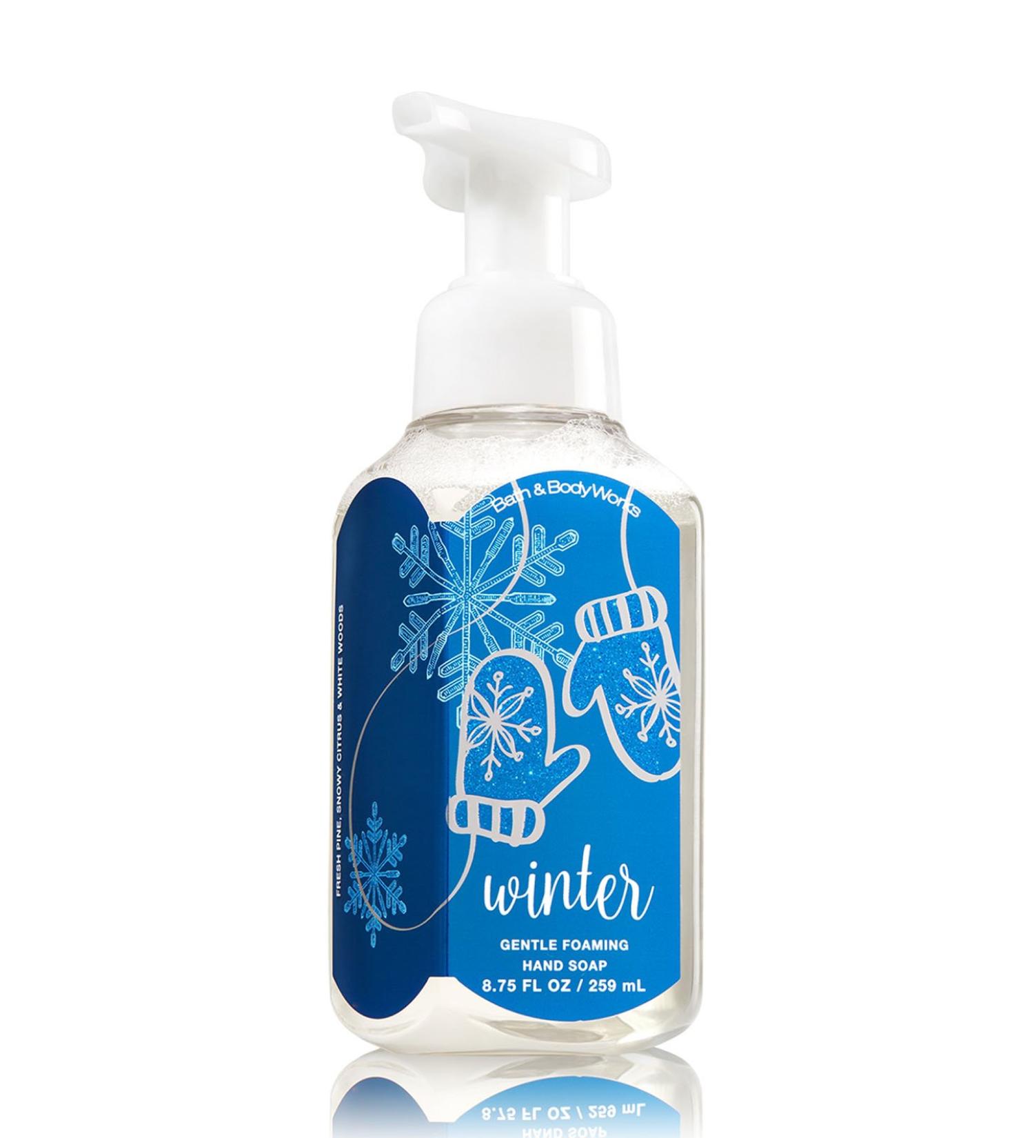 Bath & Body Works Gentle Foaming Hand Soap Winter 2016