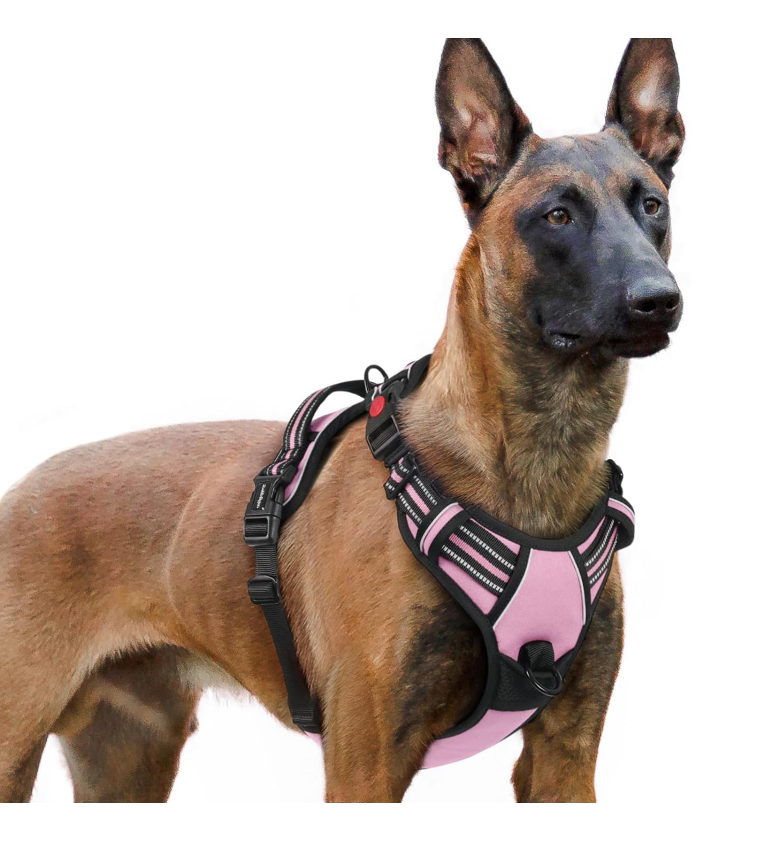 Rabbitgoo Adjustable Anti-Pull Dog Harness for Large Dogs - Soft Padded Reflective Chest Harness in Pink XL (1 Pack) - No Choke Design Perfect for Daily Walks - Buy Online on GoSupps.com