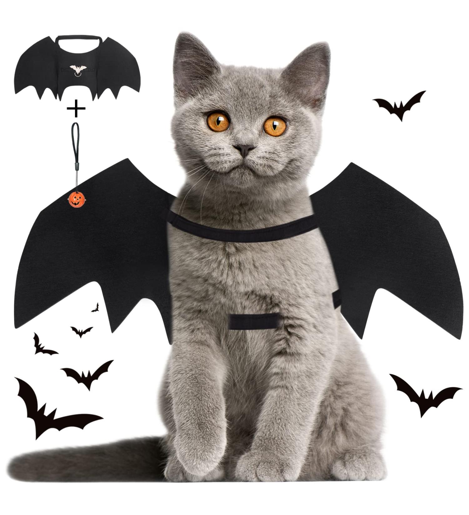 Shop Vivifying Bat Wing Cat Costume - Adjustable Halloween Wings with Pumpkin Bell | Perfect Cat Cosplay Decoration - Buy Online on GoSupps.com
