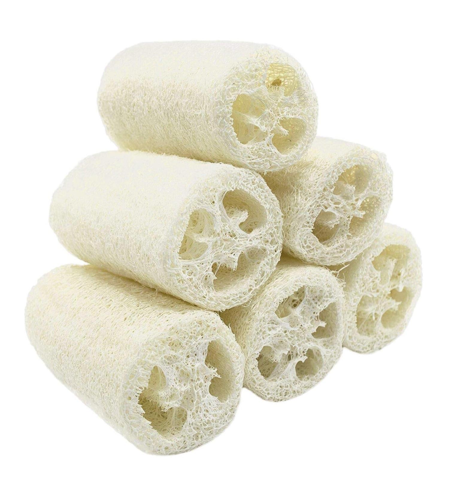 Natural Loofah Sponge - Exfoliating Bath Brush | Biodegradable Shower Sponge 15cm - Multi-Purpose White Loofah - Buy Online on GoSupps.com