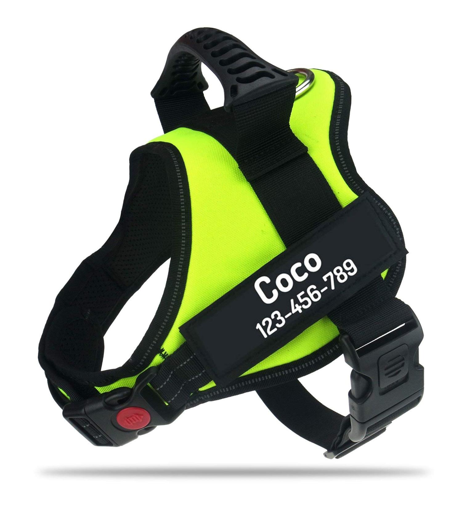 Pawpawify XL Dog Harness Against Pulling - Personalized Name & Phone Durable Training & Walking Solution Green (32-44in) - Buy Online on GoSupps.com