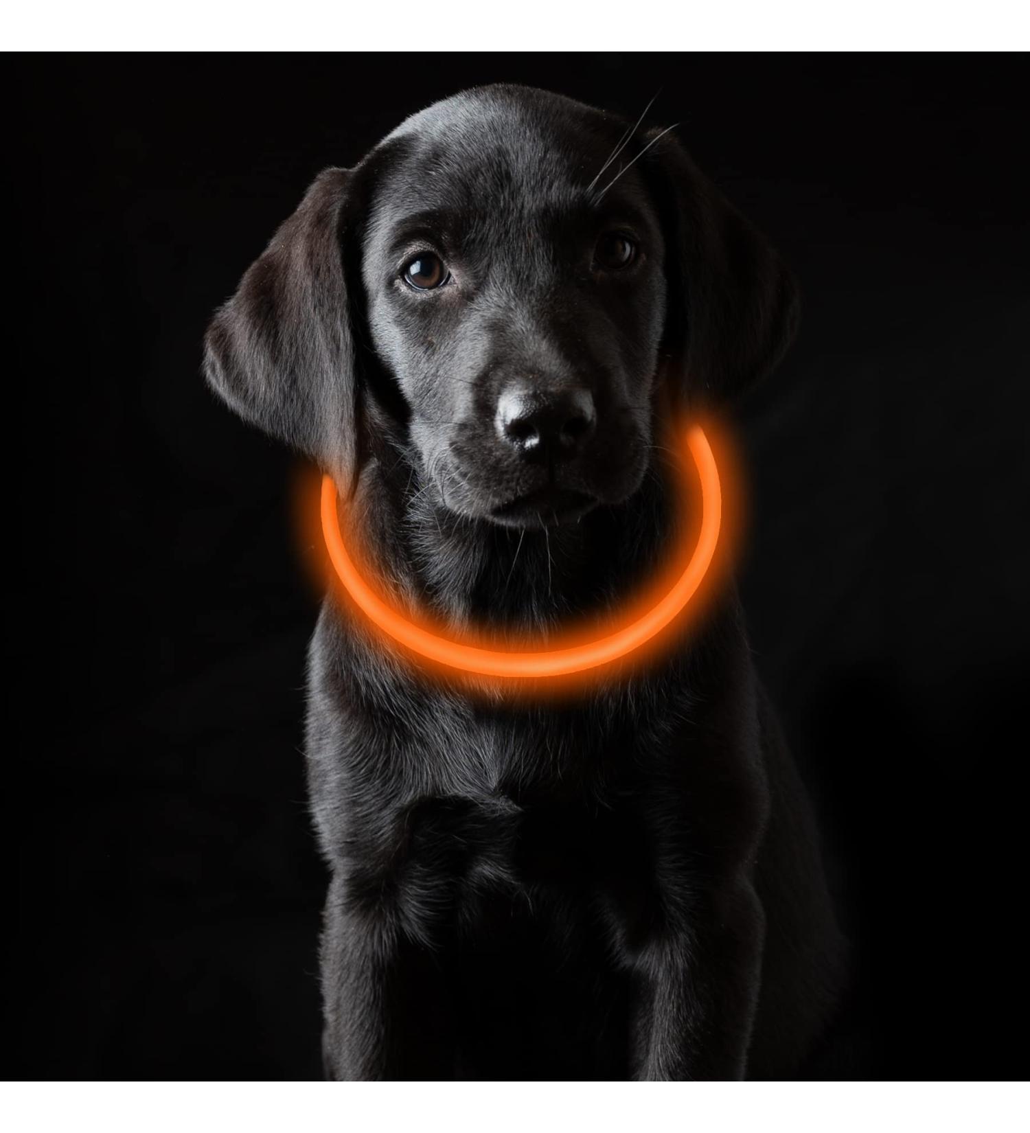 Coolzon LED Light Neck Band Dog Collar - Waterproof Adjustable Length 3 Modes Super Bright for Cats & Dogs - Orange - Buy Online on GoSupps.com
