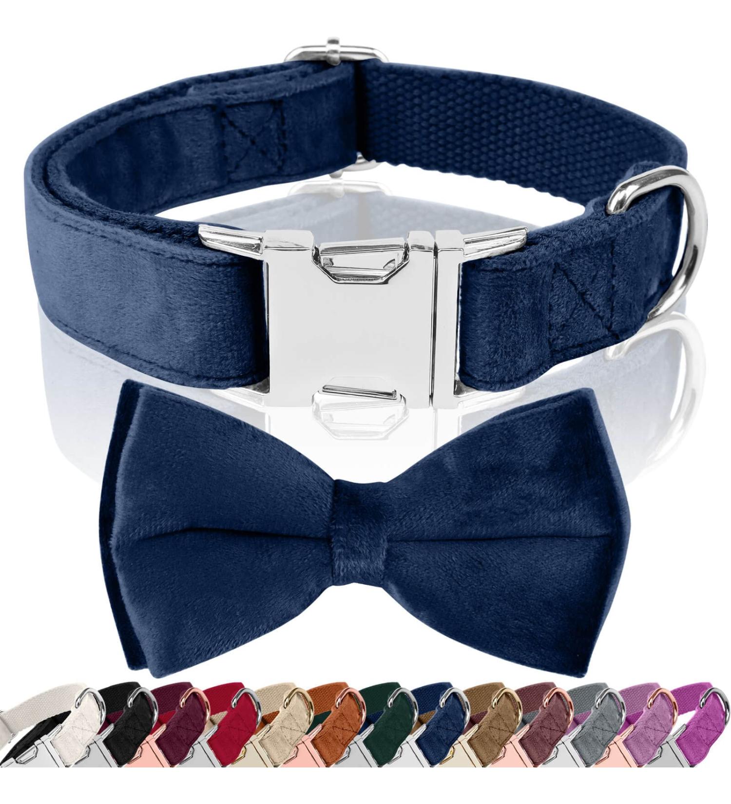 Shop Asvin XL Jewel Blue Velvety Dog Collar with Removable Fly Soft Comfortable & Colorful for Weddings Birthdays & Parties | International Shipping Available - Buy Online on GoSupps.com