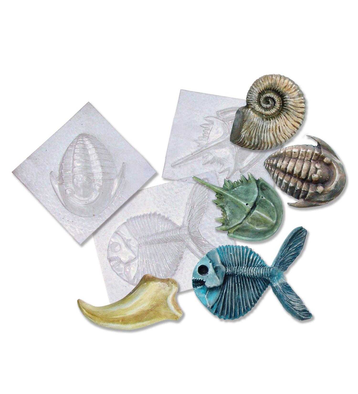 Molds Fossil: High-Quality and Durable Molds for Fossil Making - Buy Online on GoSupps.com