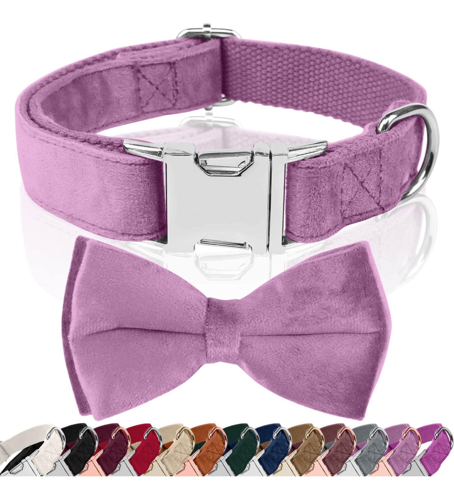 Asvin Velvety Dog Collar with Removable Fly | Soft & Comfortable Multi-Color Dog Collar for Weddings Birthdays & Parties - Shop Now! - Buy Online on GoSupps.com