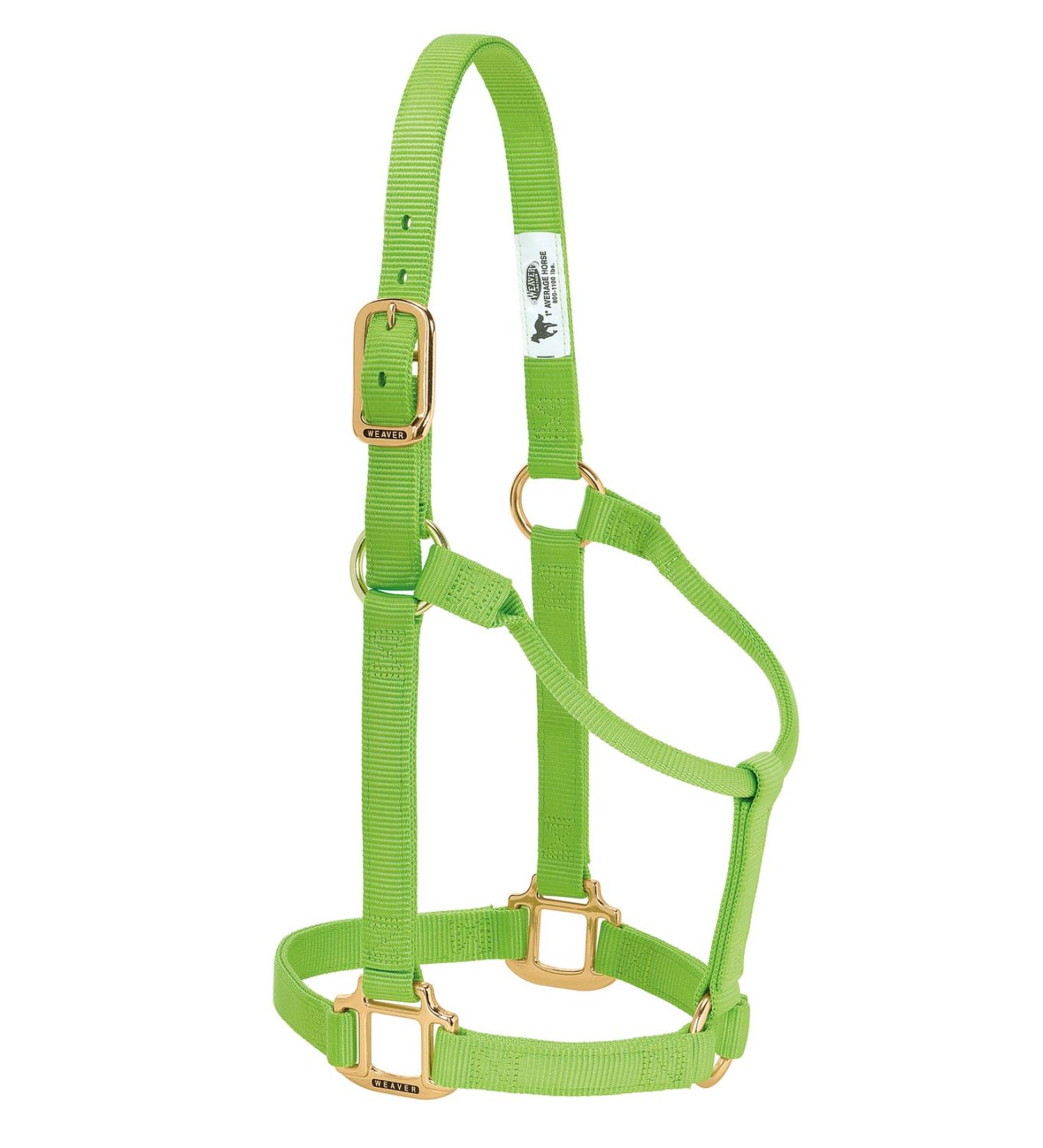 WEAVER Leather Non-adjustable Halter Lime Small Horse