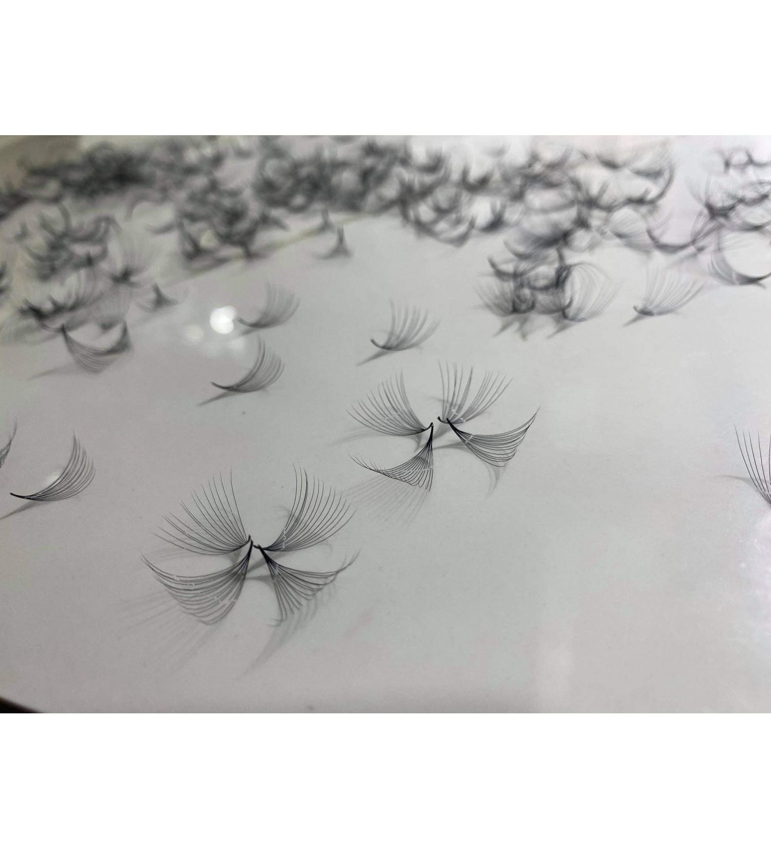 Lash by Holly 14D Premade Fan Lashes | Hand Made 500 Fans/Tray | C D M Curl Options | 0.05 Thickness 10mm-17mm Length for Eyelash Extensions - Buy Online on GoSupps.com