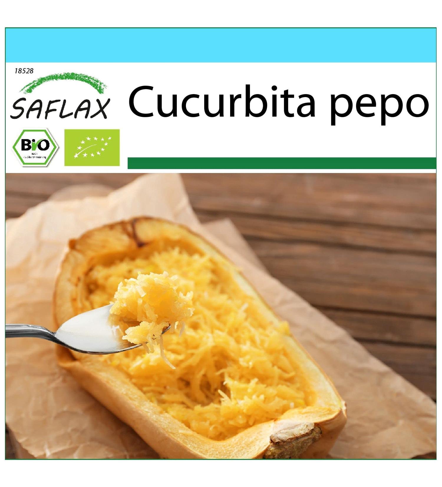 SAFLAX - Gift Set - Organic - Squash - Spaghetti - 5 Seeds - with Gift Box Card Label and Potting Substrate - Cucurbita Pepo - Buy Online on GoSupps.com