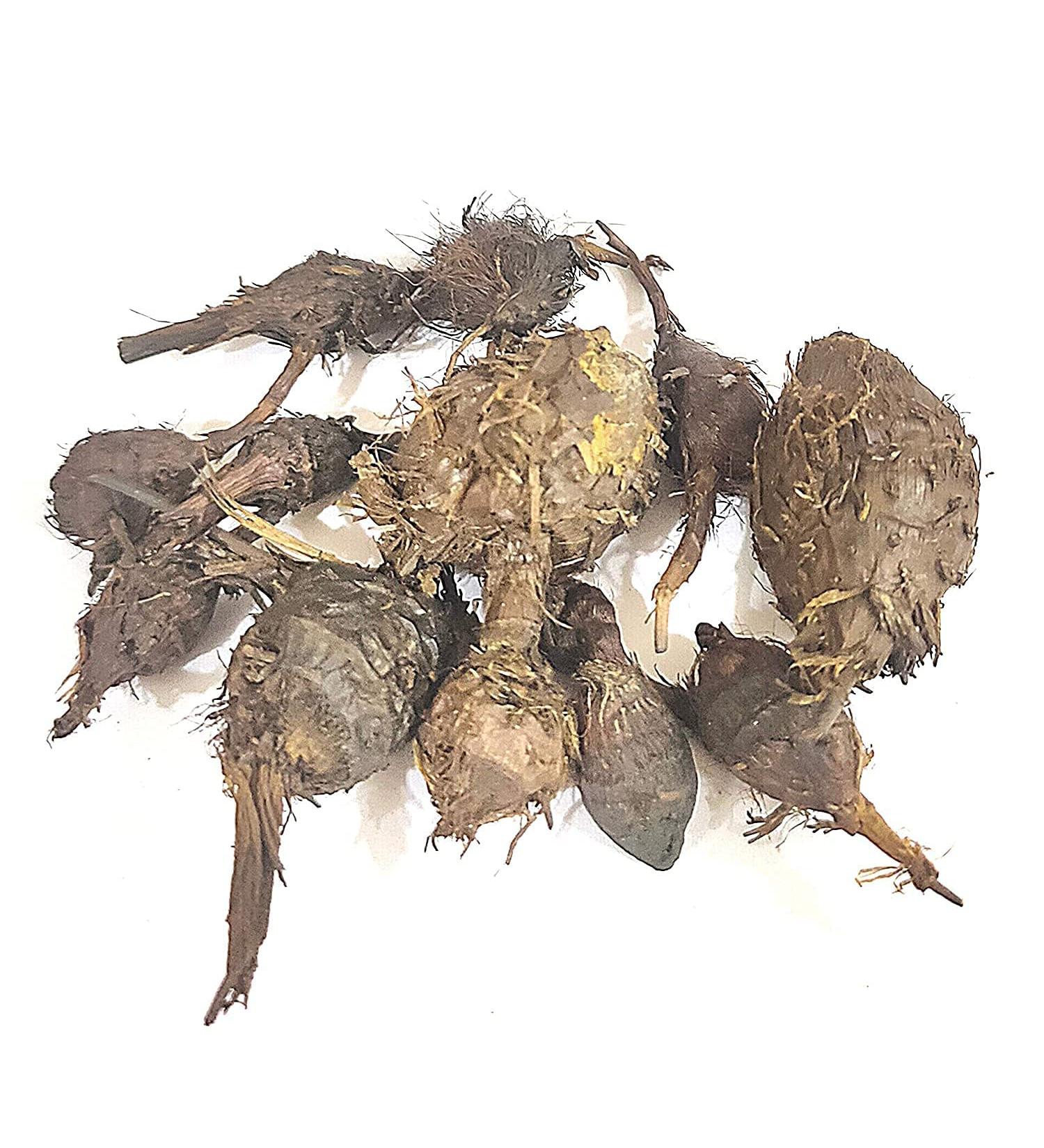 BETT Nagarmotha/ / Sedge Root/Cyperus rotundus (50 GMS).