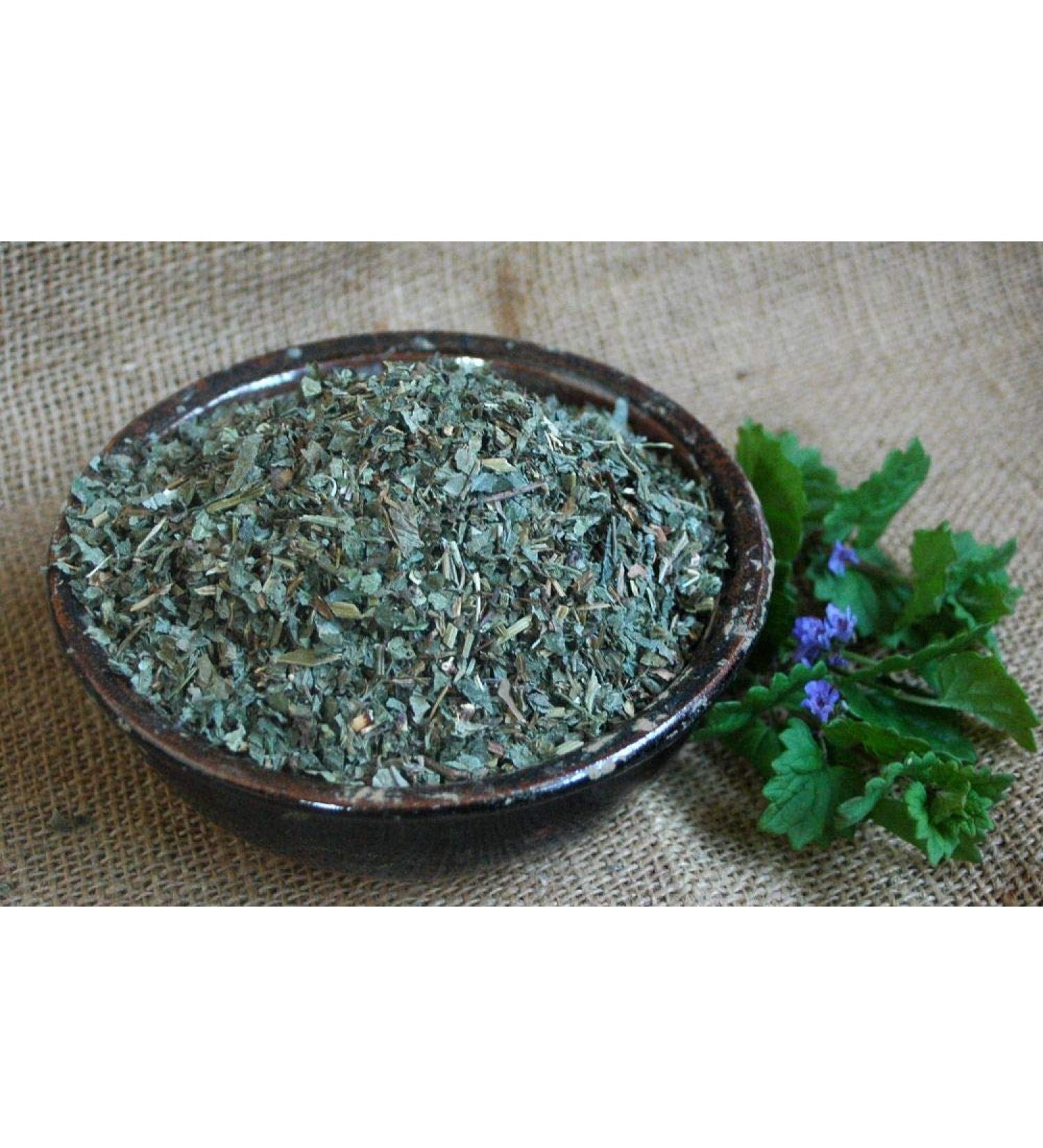 Krauterino24 - Ground ivy herb cut quantity: 1000g
