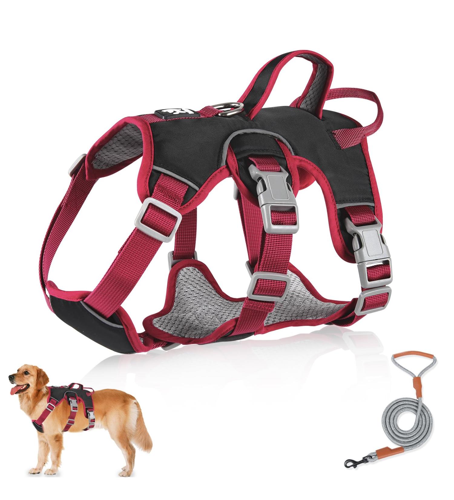 Multi-Purpose Dog Harness & Leash Set - Outbreak-Proof Anti-Train Safety Harness for Small & Medium Dogs (Black M) - Buy Online on GoSupps.com