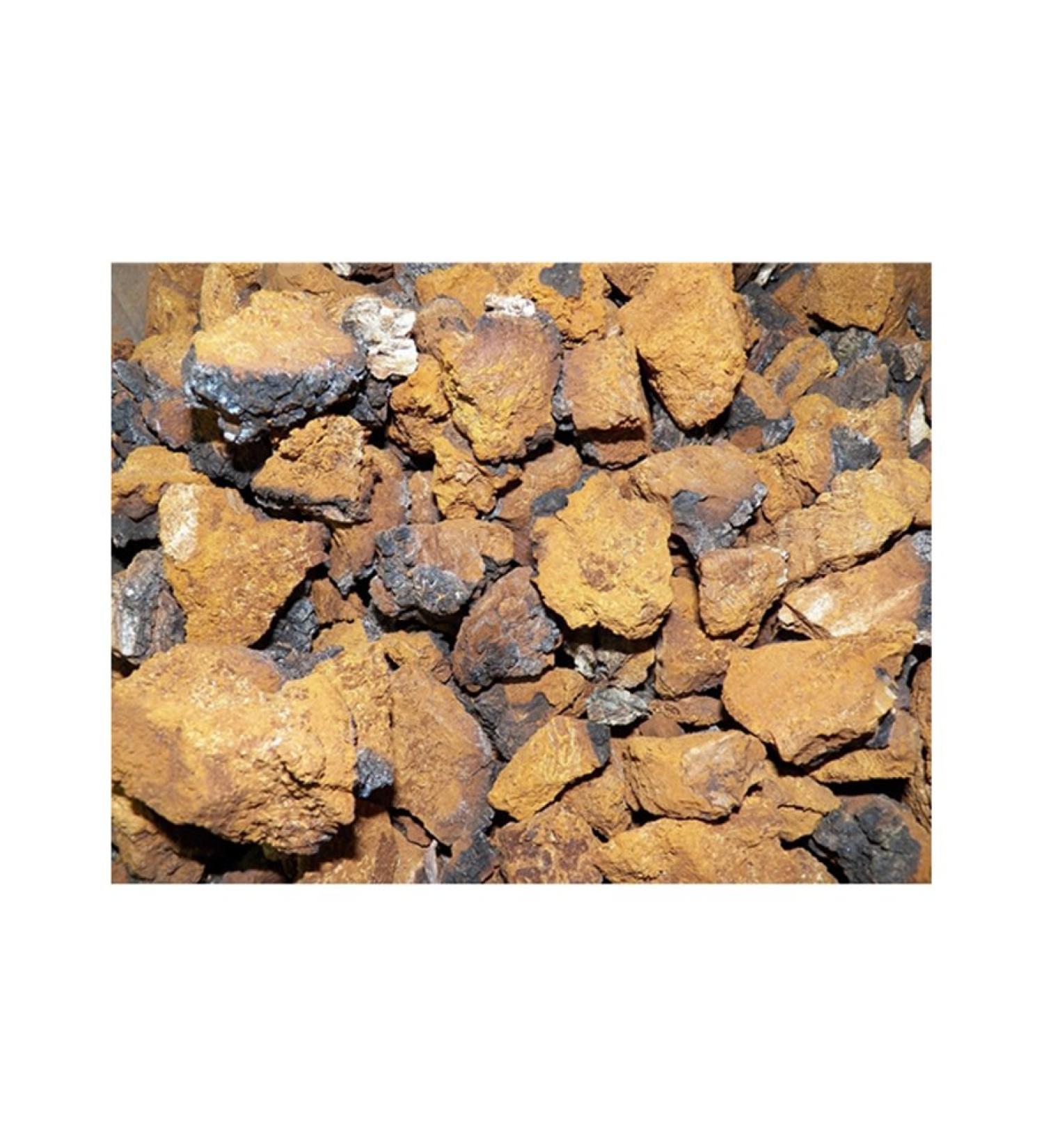 Dried USA Grown Chaga Mushrooms 1 Ounce (Pack of 1)