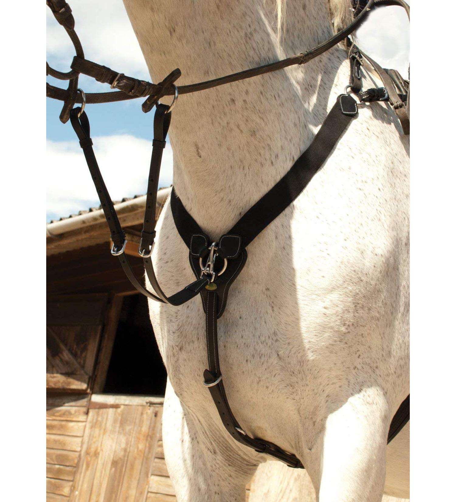 Rhinegold V-Check Cob Black