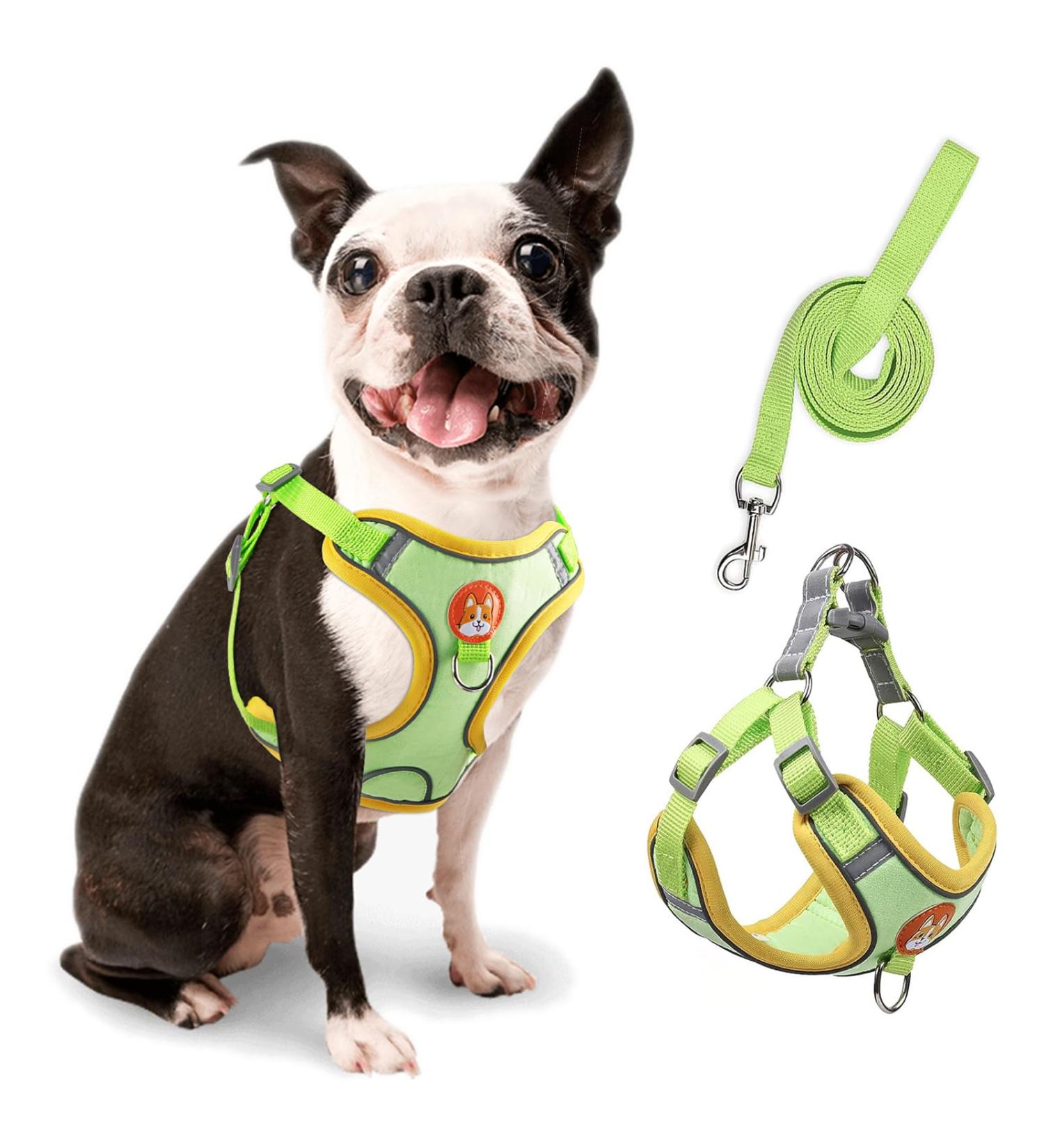 Rennaio No Pull Dog Harness & Leash Set for Small & Medium Dogs Adjustable Comfortable Green M - Buy Online on GoSupps.com