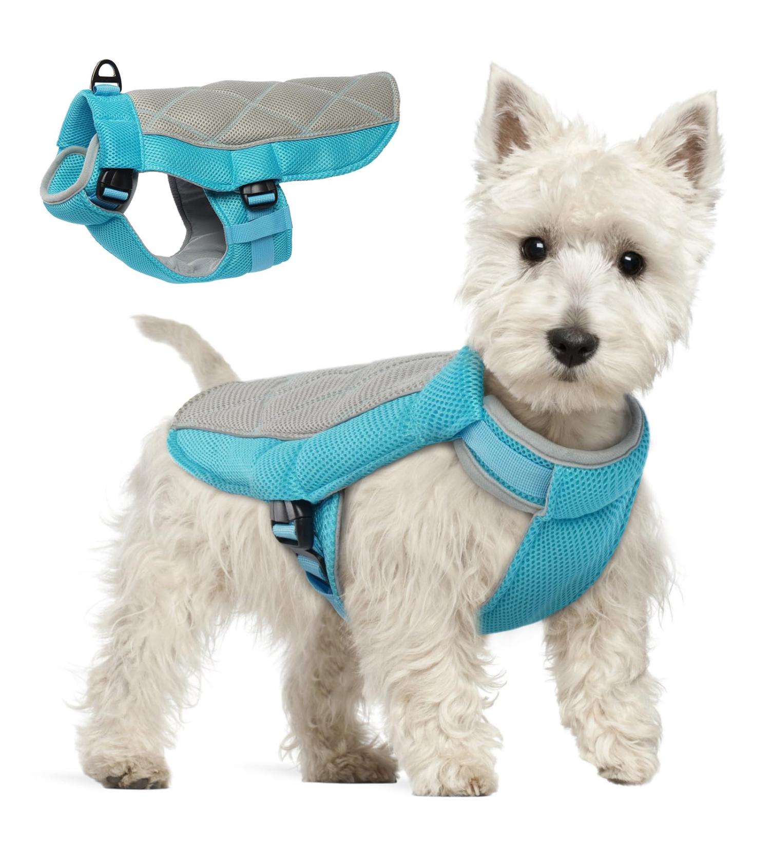 Hjumarayan Cooling Vest for Dogs | Summer Dog Cooling Coat with D-Rings | Breathable XS Blue Vest for Hot Days - Buy Online on GoSupps.com