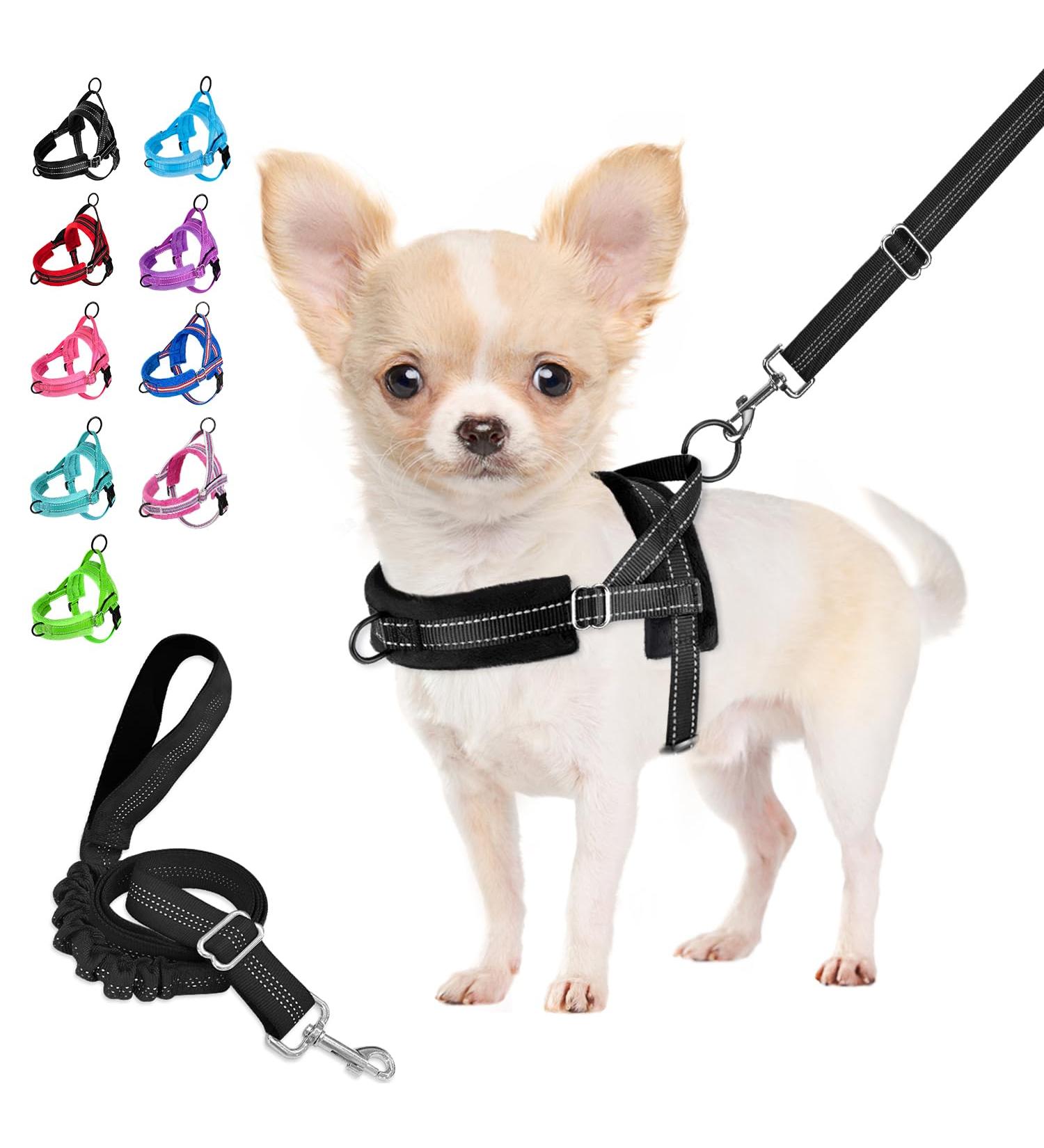 Eyein No-Pull Dog Harness with Leash Adjustable Padded & Reflective for Small to Large Pets Black (M) - Buy Online on GoSupps.com