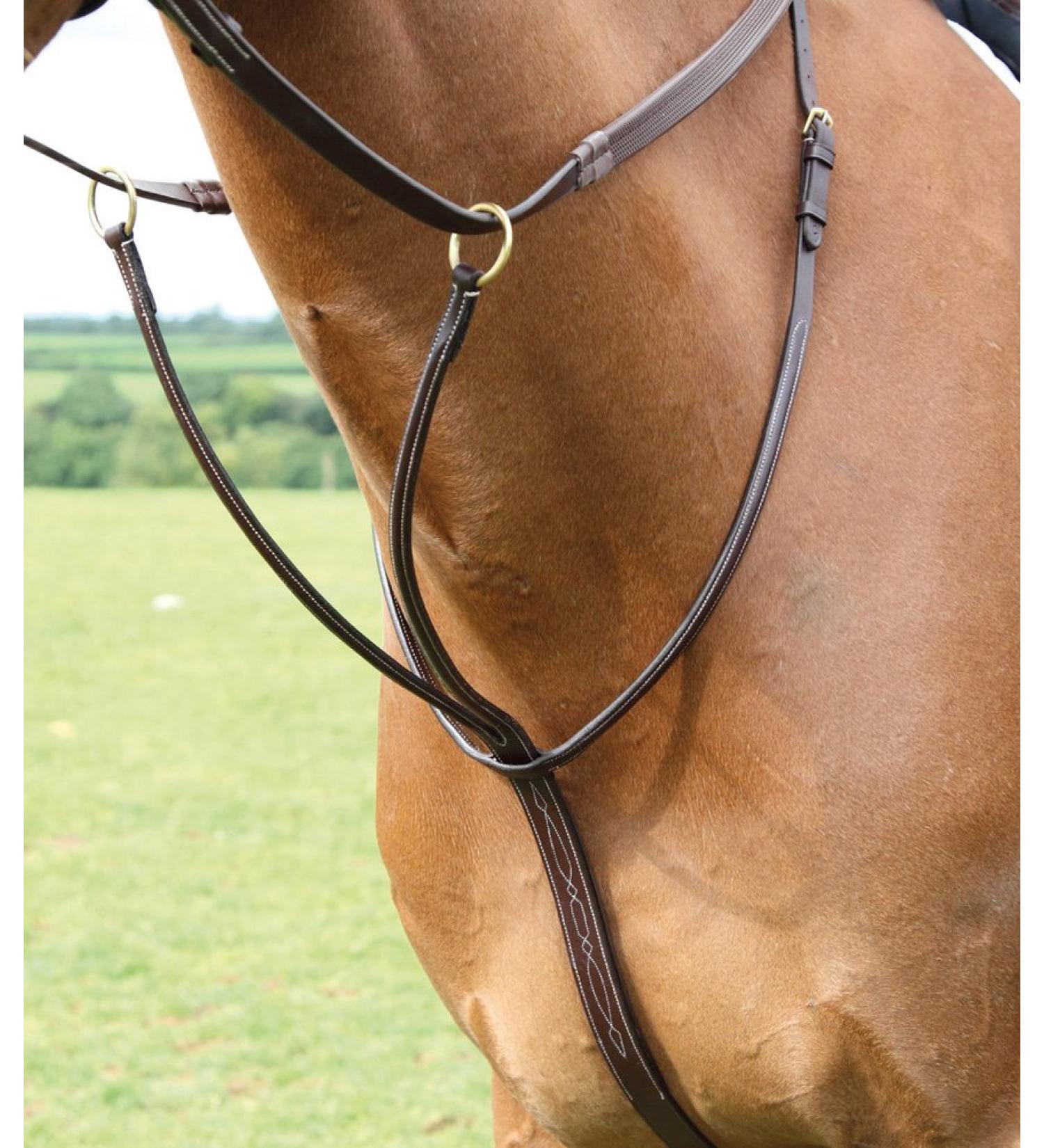 Shires Salisbury Running Martingales Australian Nut Cob