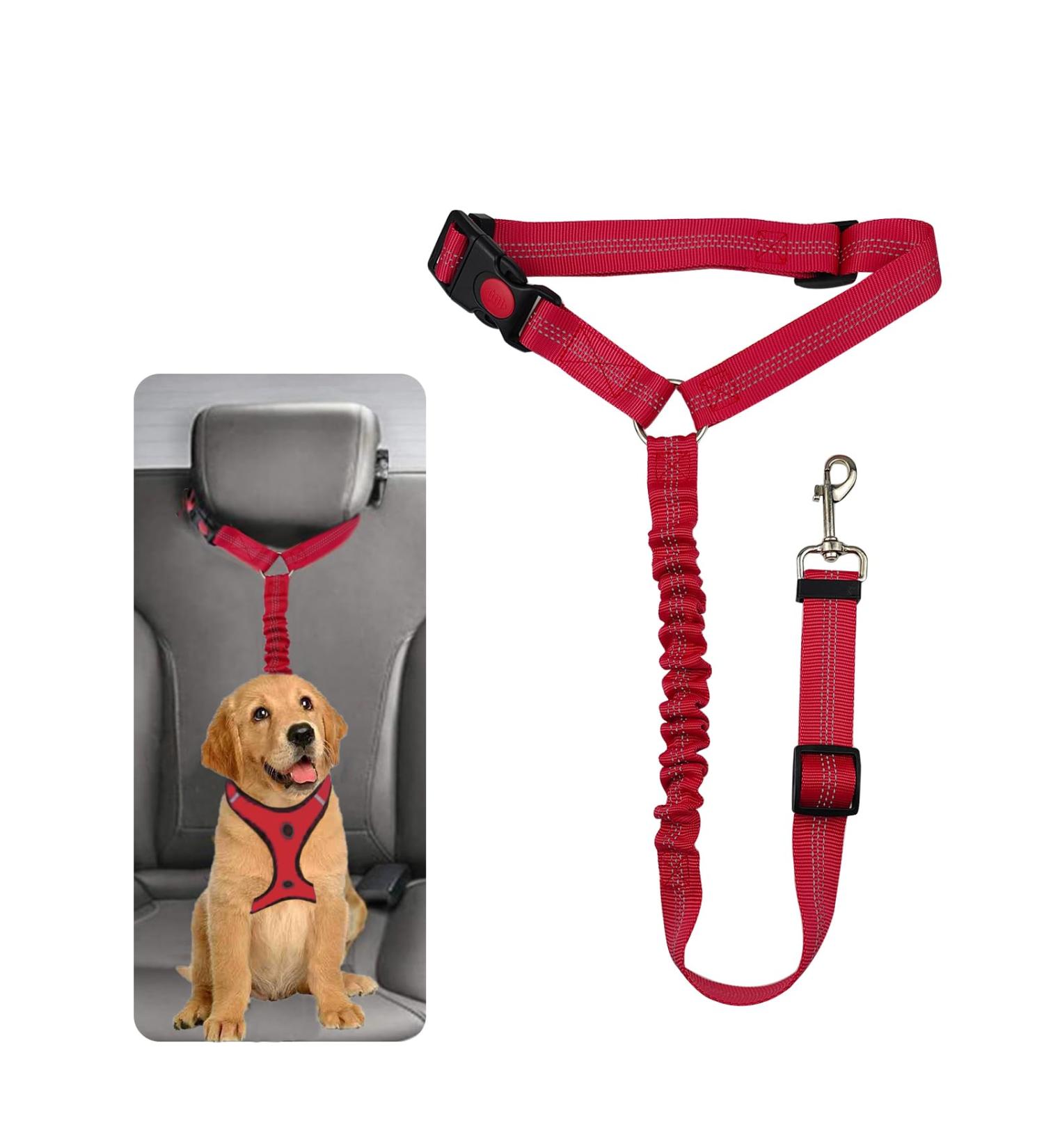 Dog Safety Harness | Car Seat Belt for Small & Medium Dogs | Puppy Accessories in Red - International Shipping - Buy Online on GoSupps.com