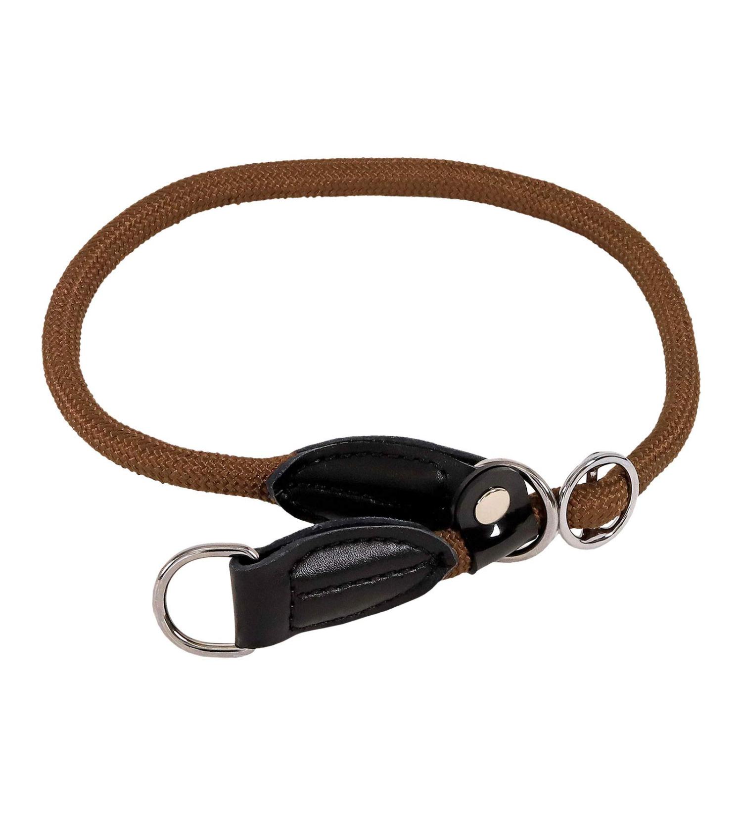 Lionto Dog Collar - Retriver Training Collar | 40 cm Length Brown 0.8 cm Thickness - International Shipping Available - Buy Online on GoSupps.com