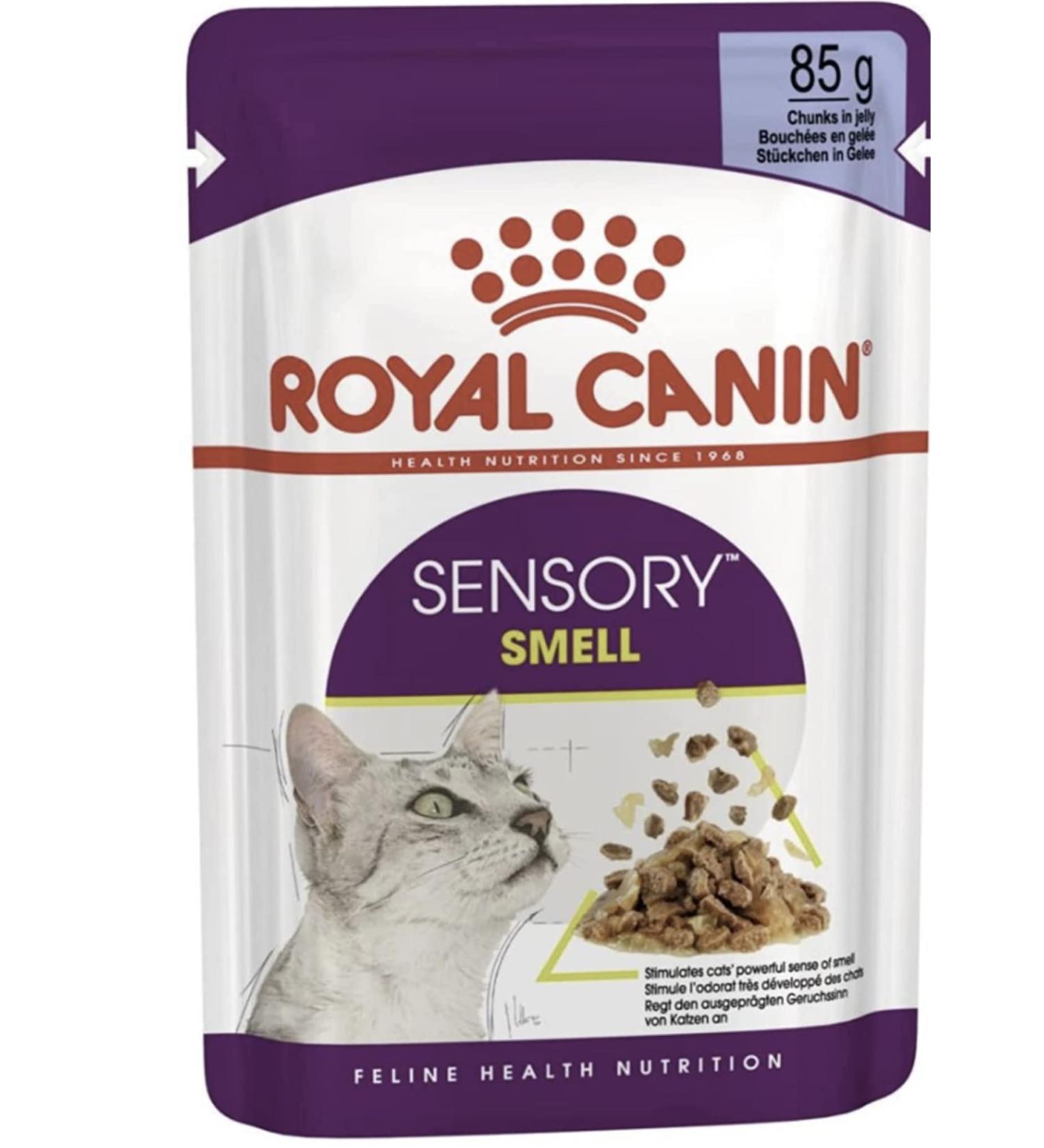 Royal Canin Sensory Smell in Jelly Wet Cat Food 85g (Pack of 48) - Buy Online on GoSupps.com