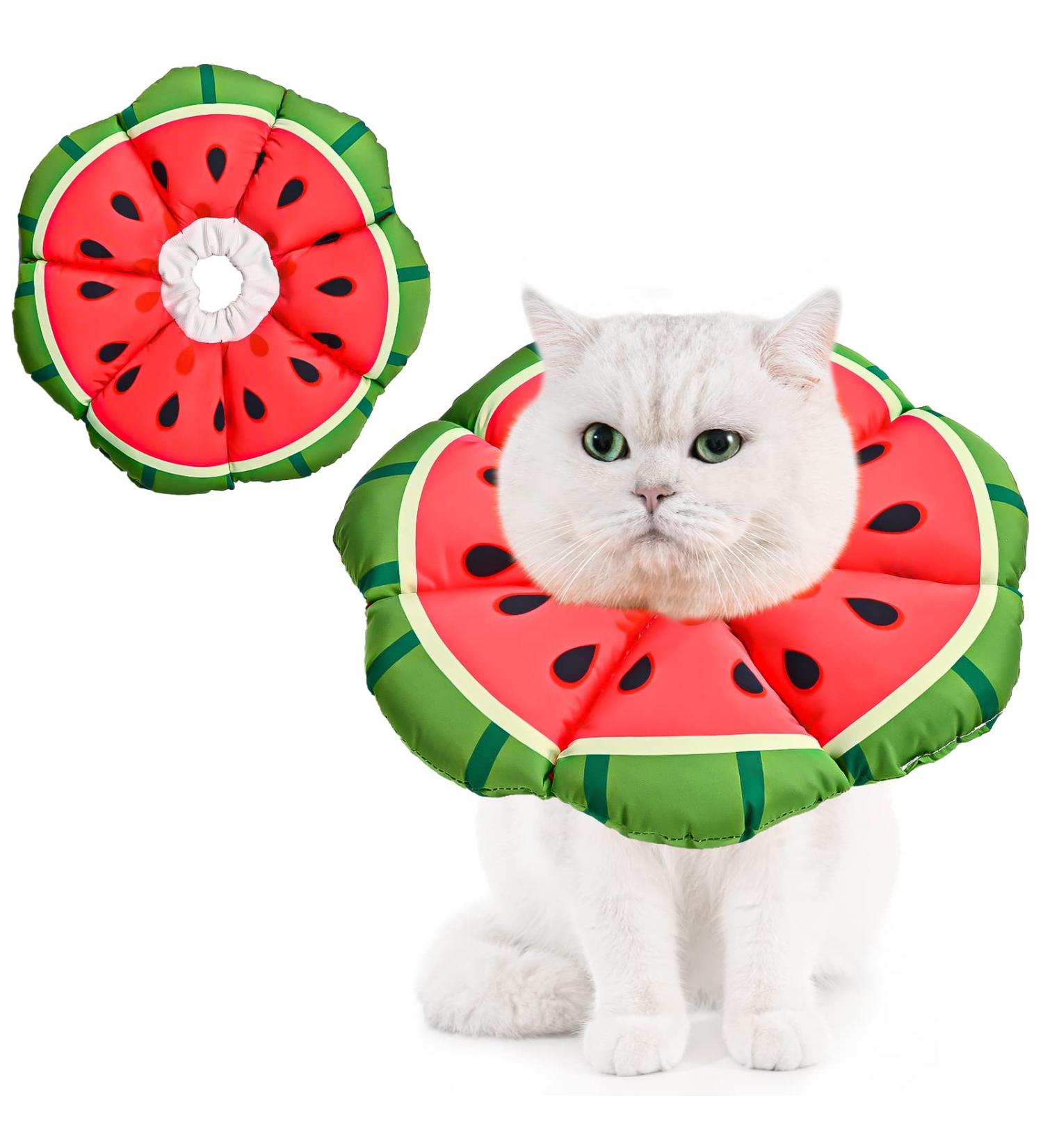 Avont Rewrise Adjustable Cat Collar - Soft Neck Leak Protection for Small Dogs & Cats Ideal After Surgery - Medium Watermelon - Buy Online on GoSupps.com