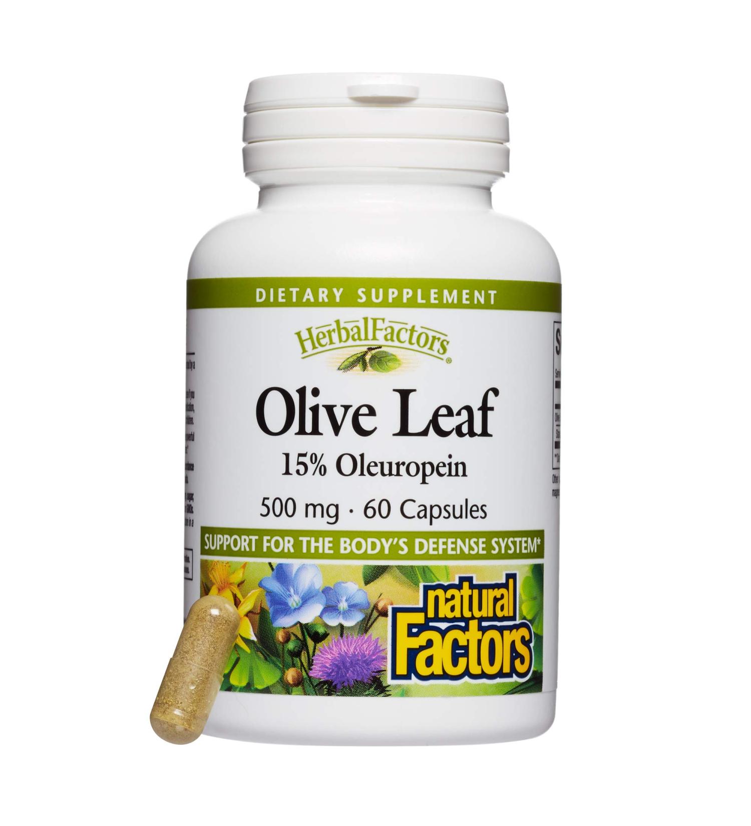 Natural Factors Olive Leaf Extract 500mg - 60 Capsules | Immune Support & Antioxidant - Buy Online on GoSupps.com