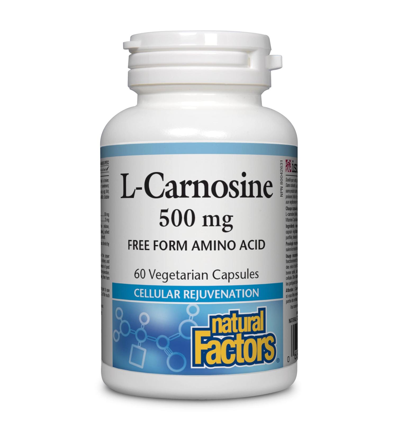Natural Factors L-Carnosine 500 mg - 60 Vegetarian Capsules for Antioxidant Support - Buy Online on GoSupps.com