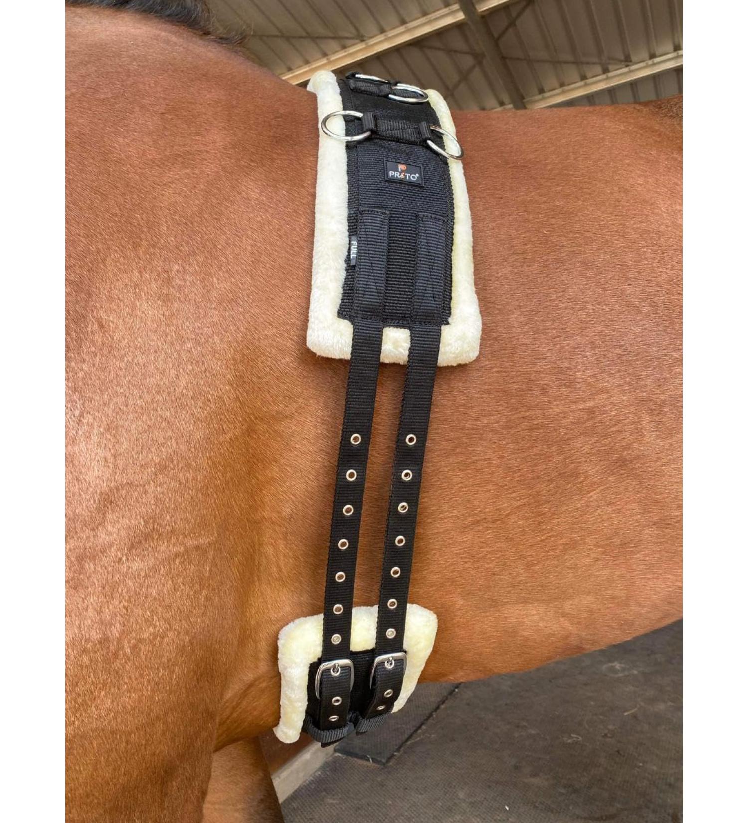 Preto Horse Training Body Roller or Lunging Girth adjustable synthetic strong tear resistant pp nylon webbing fleece/faux fur padded exercise lunge roller girth anti-chafing equestrian Cob Full Pony - Buy Online on GoSupps.com