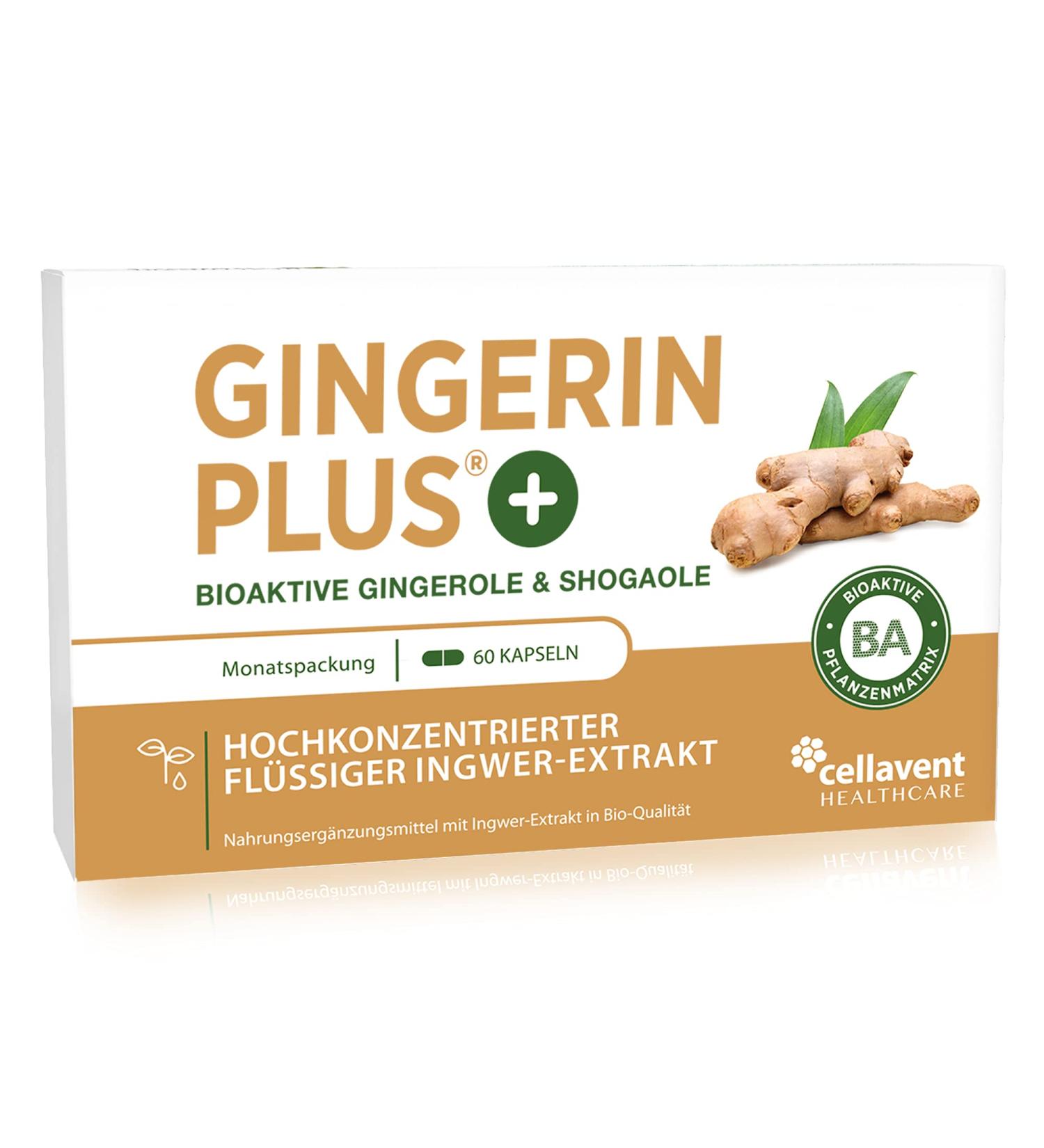 Buy Organic Ginger Capsules - High Dose Ginger Extract with Gingerol & Shogaol - 60 Pharmaceutical Quality Pieces - International Shipping Available - Buy Online on GoSupps.com