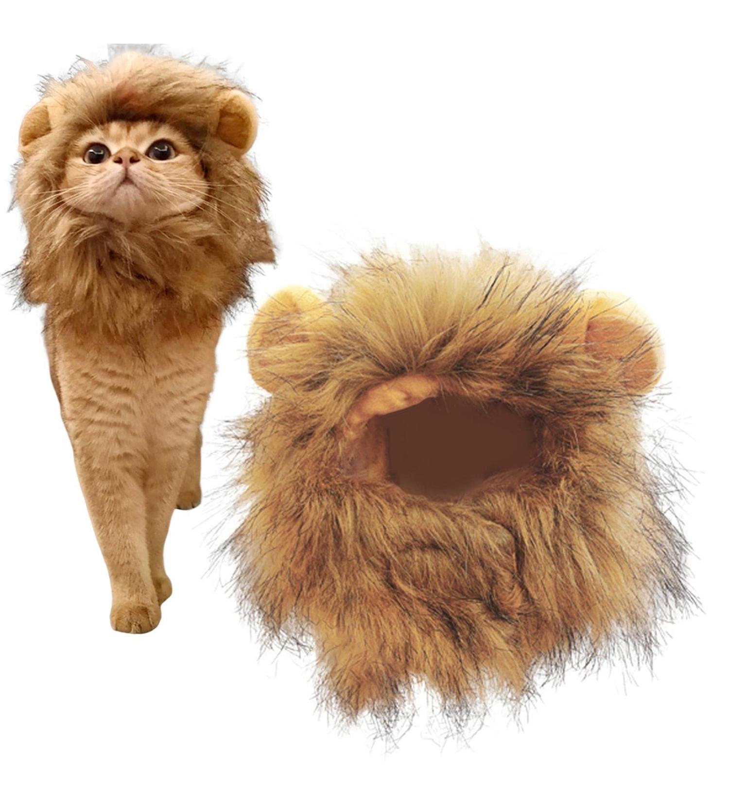 Shop Lion Mane Caps & Costumes - Perfect for Easter Festival Party & Pet Wings - Buy Online on GoSupps.com