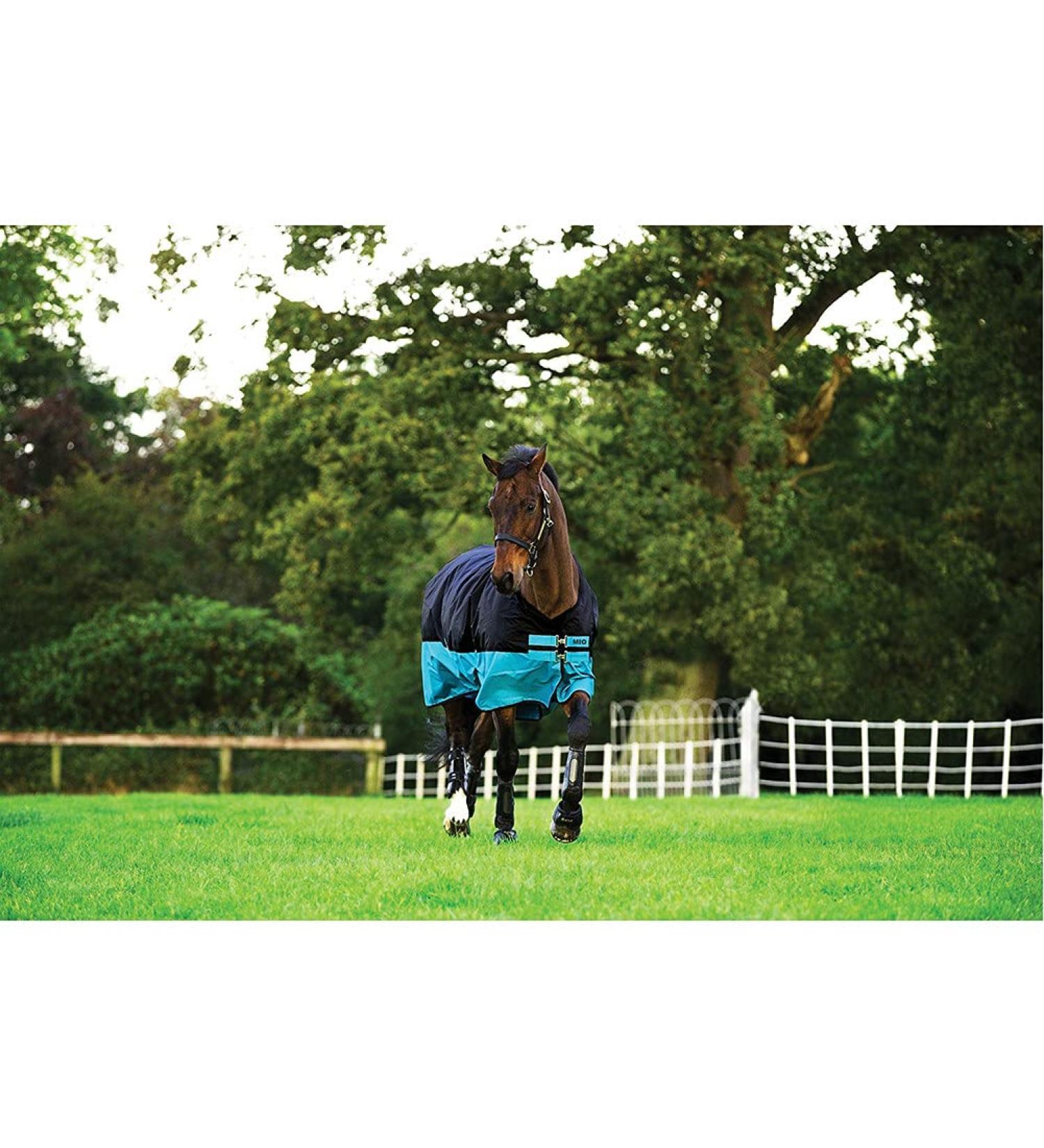 Horseware Mio T/O Lite Turnout Rug Waterproof Black/Turq & Black HW 20 4'3