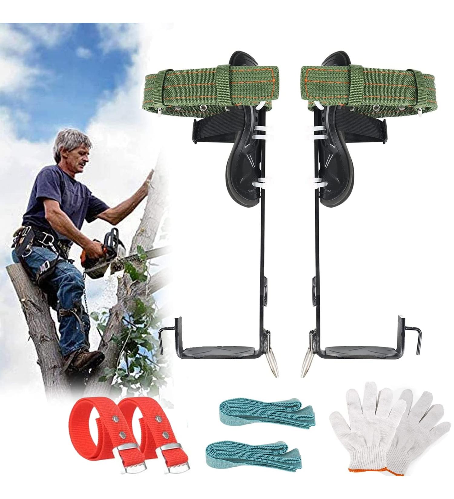 Buy 2Claws Stainless Steel Tree Climbing Crampons - Durable Spikes Set with Straps & Gloves for Safe Tree Work - International Shipping Available - Buy Online on GoSupps.com